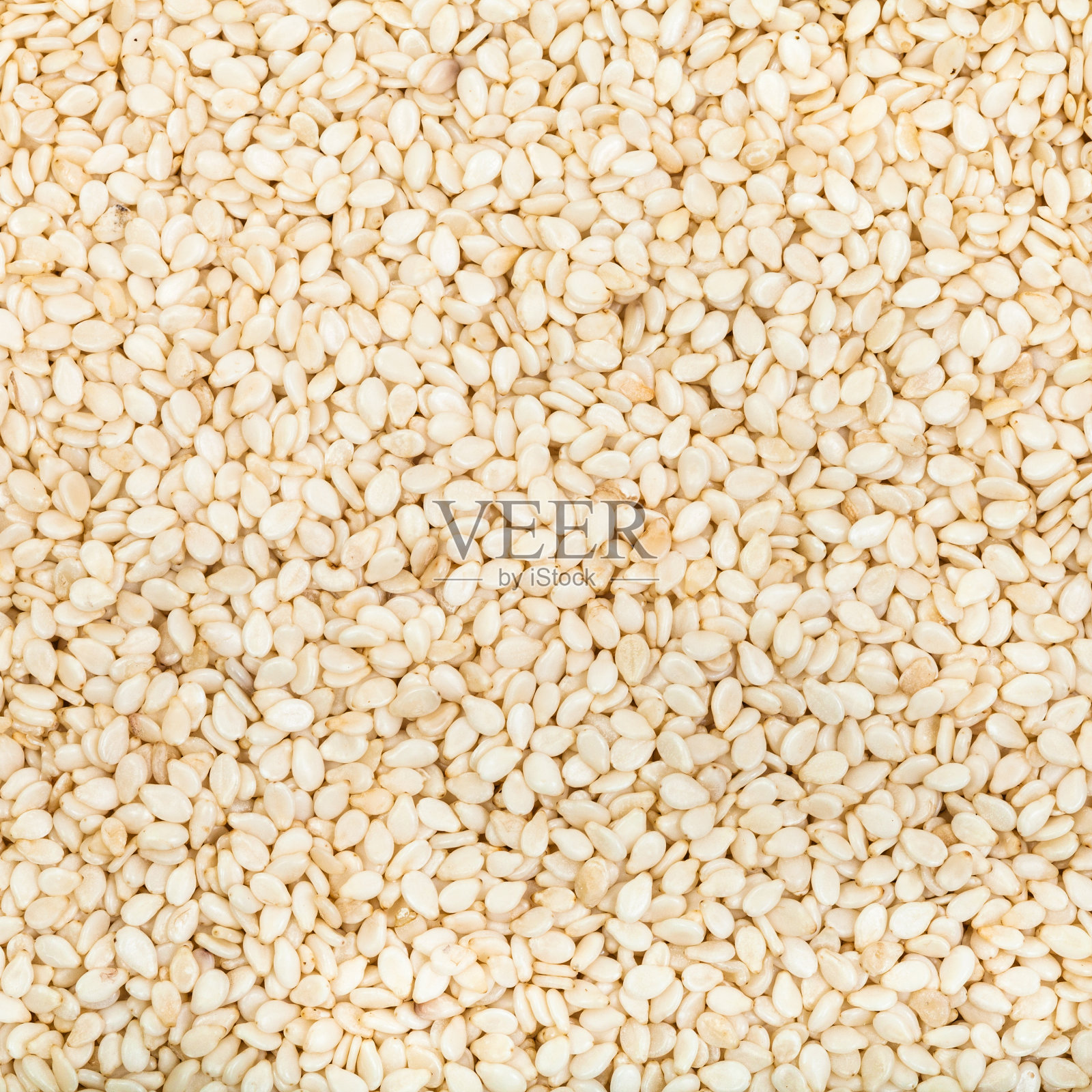 许多白芝麻种子聚集在一起照片摄影图片