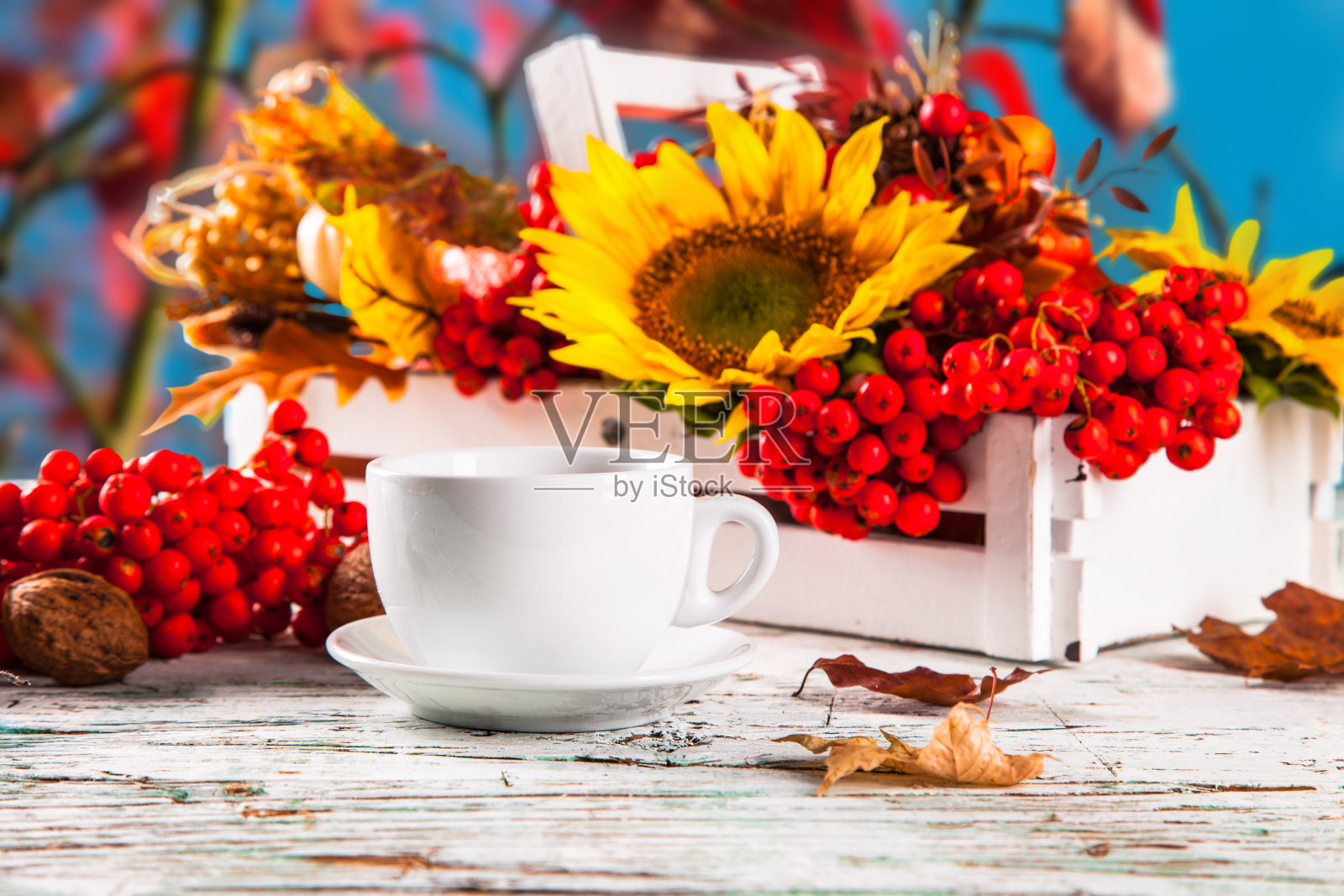 杯茶照片摄影图片