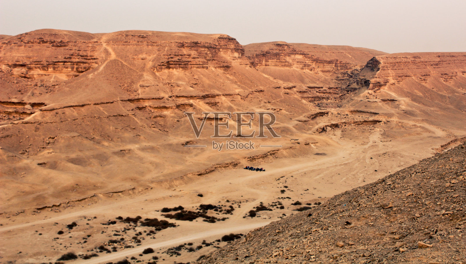 撒哈拉沙漠艾尔拉扬河谷照片摄影图片