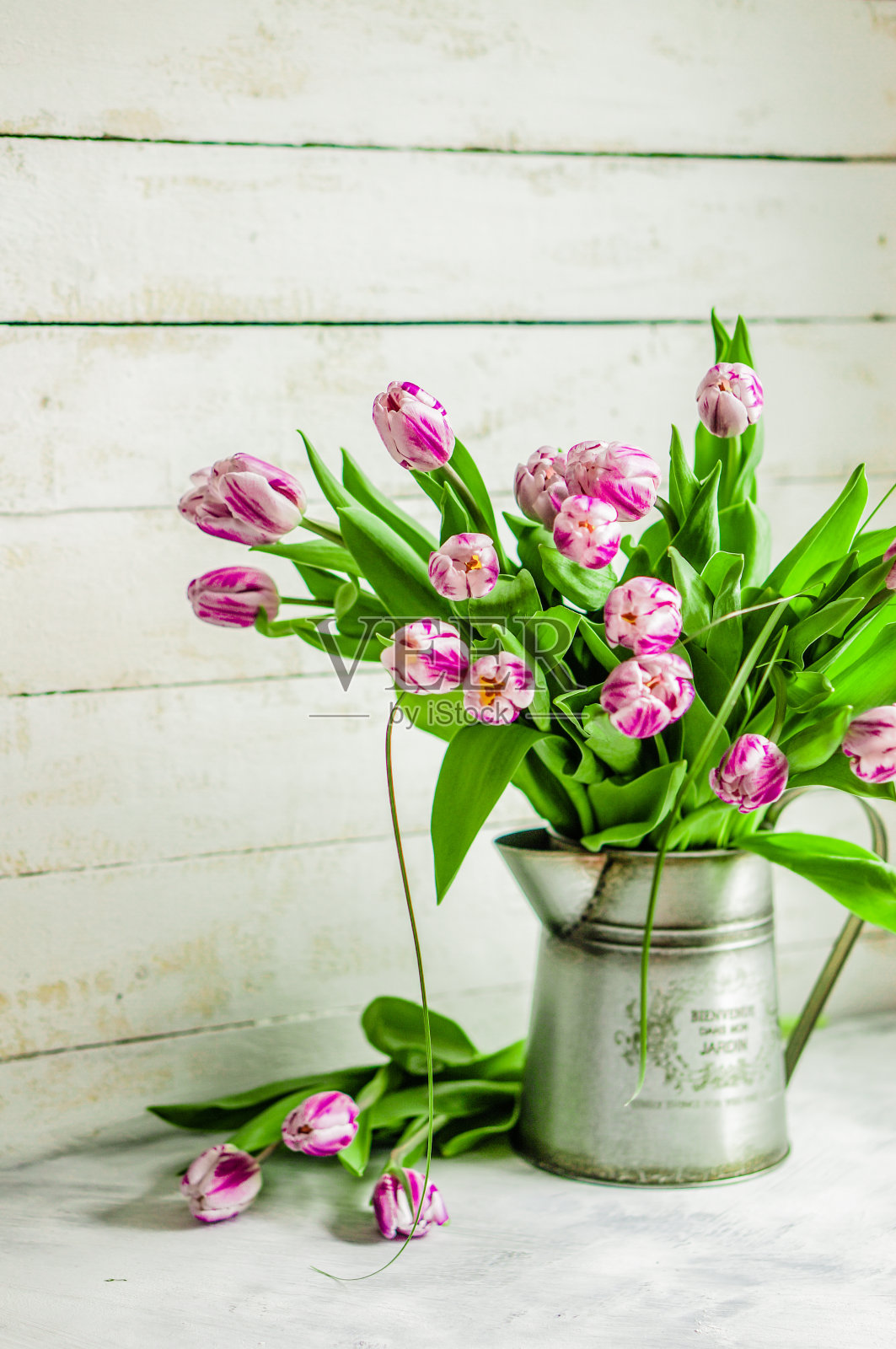 郁金香在质朴的木制背景上照片摄影图片
