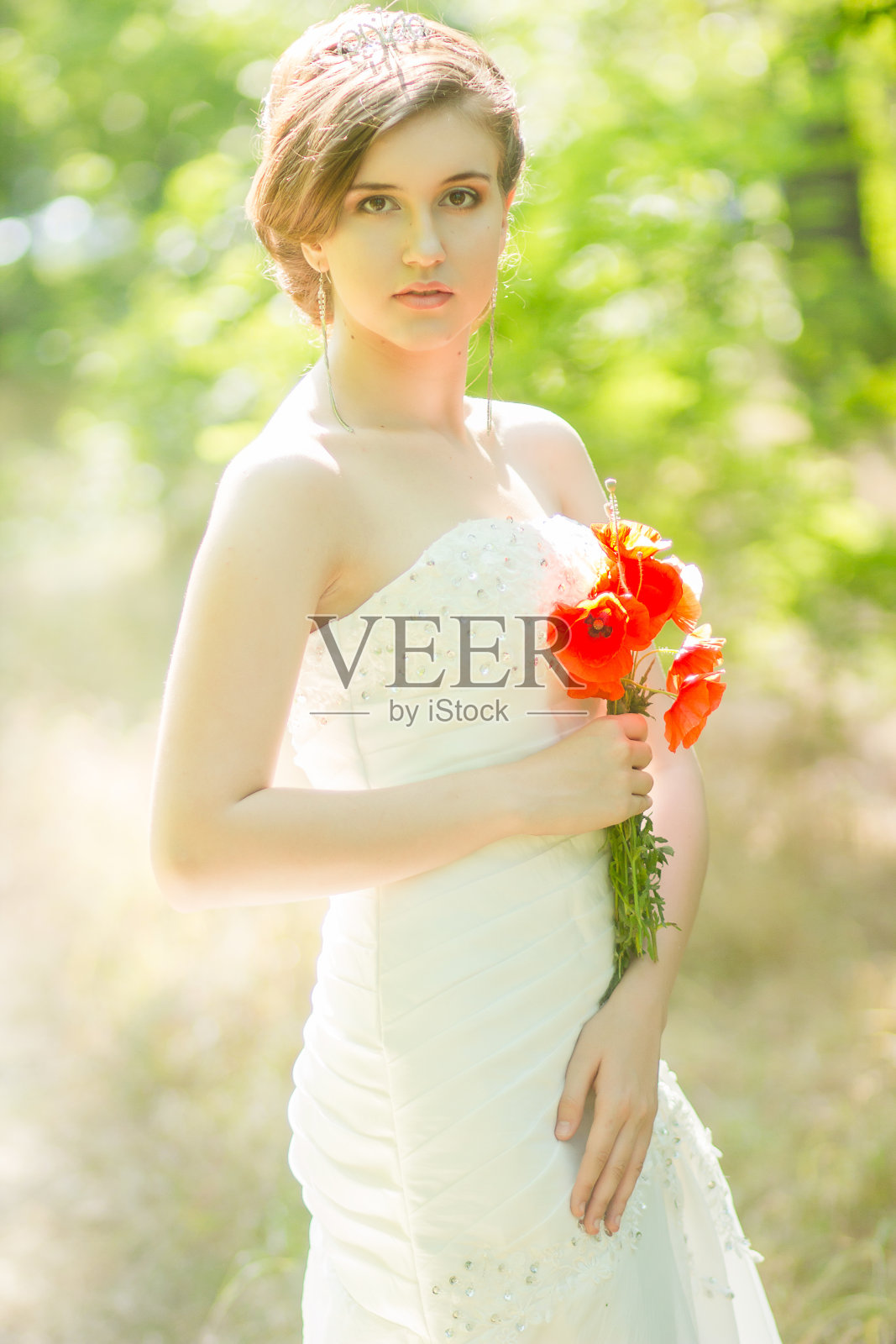 美丽的新娘户外-软焦点照片摄影图片