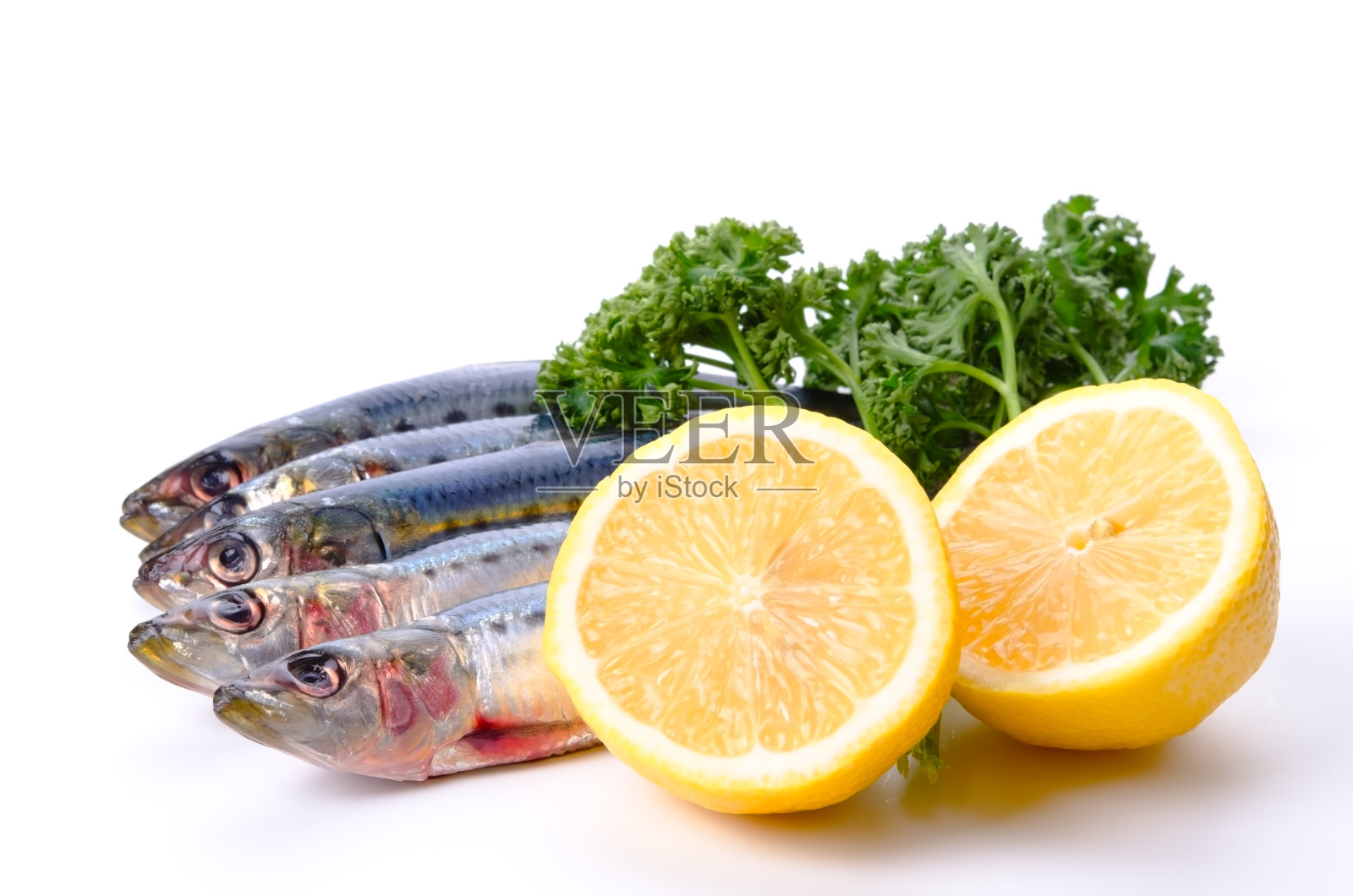 沙丁鱼照片摄影图片