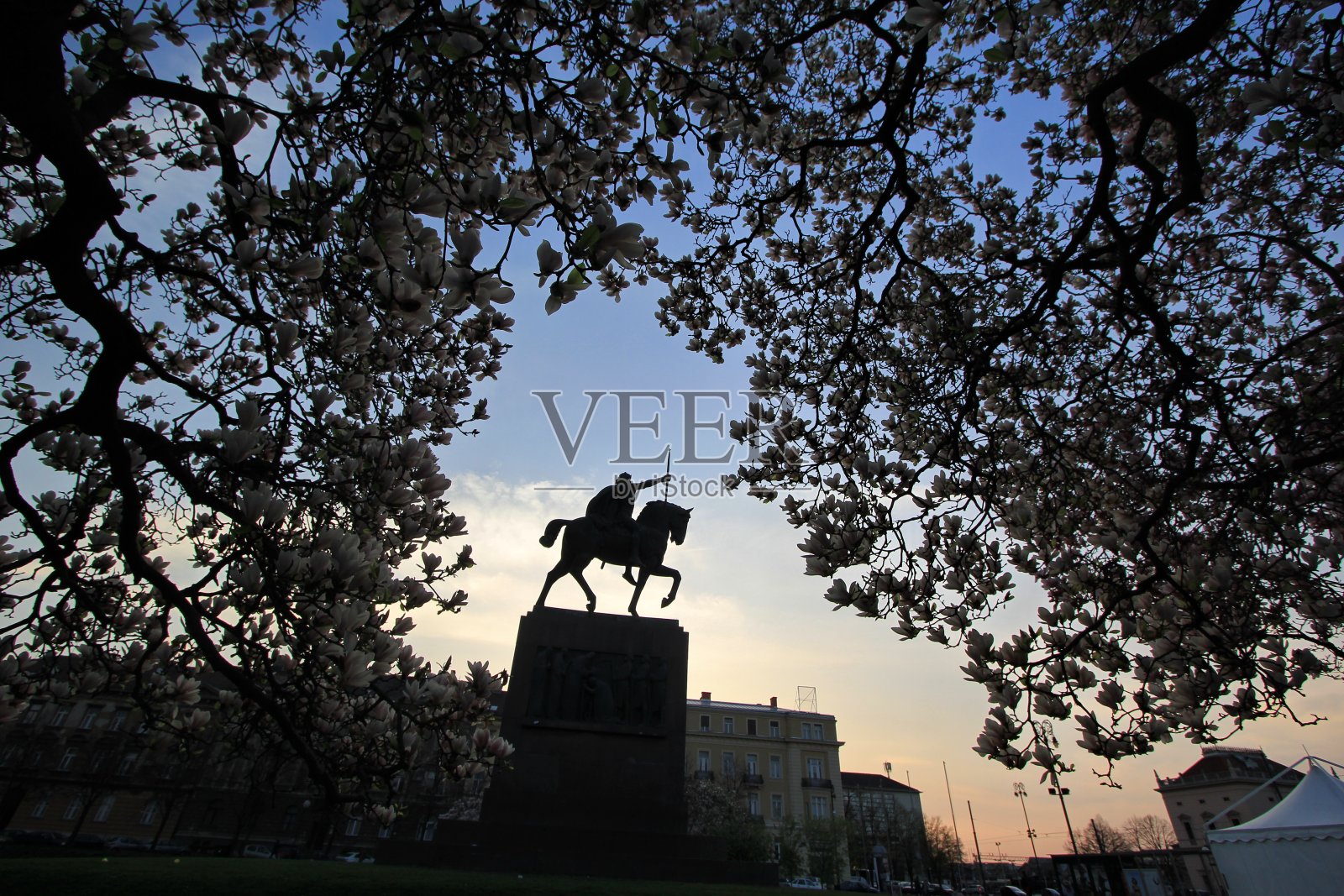 克罗地亚萨格勒布春天的托米斯拉夫广场照片摄影图片