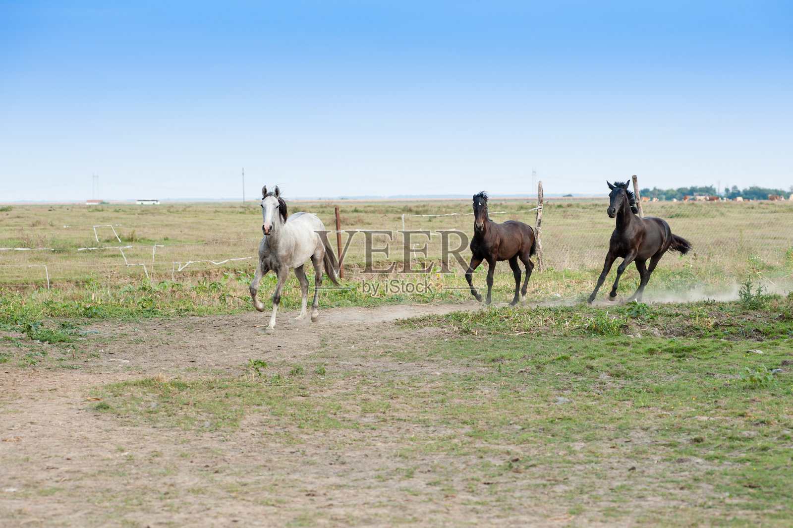 马蹄声照片摄影图片