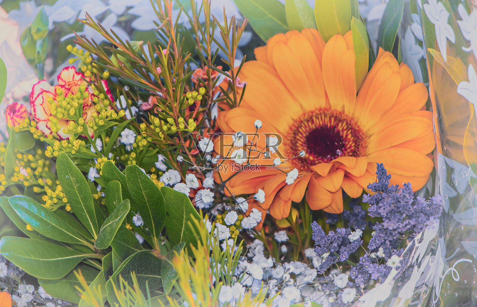 节日鲜花照片摄影图片