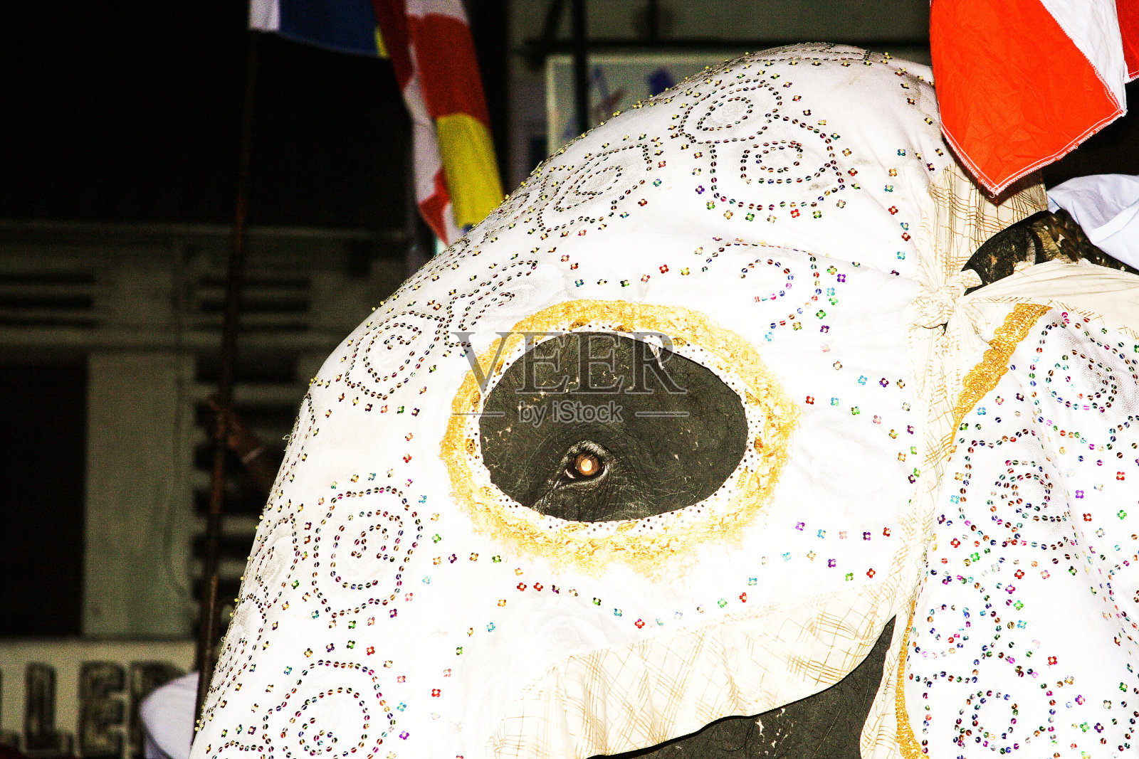 大象参加Candy的Pera Hera节照片摄影图片