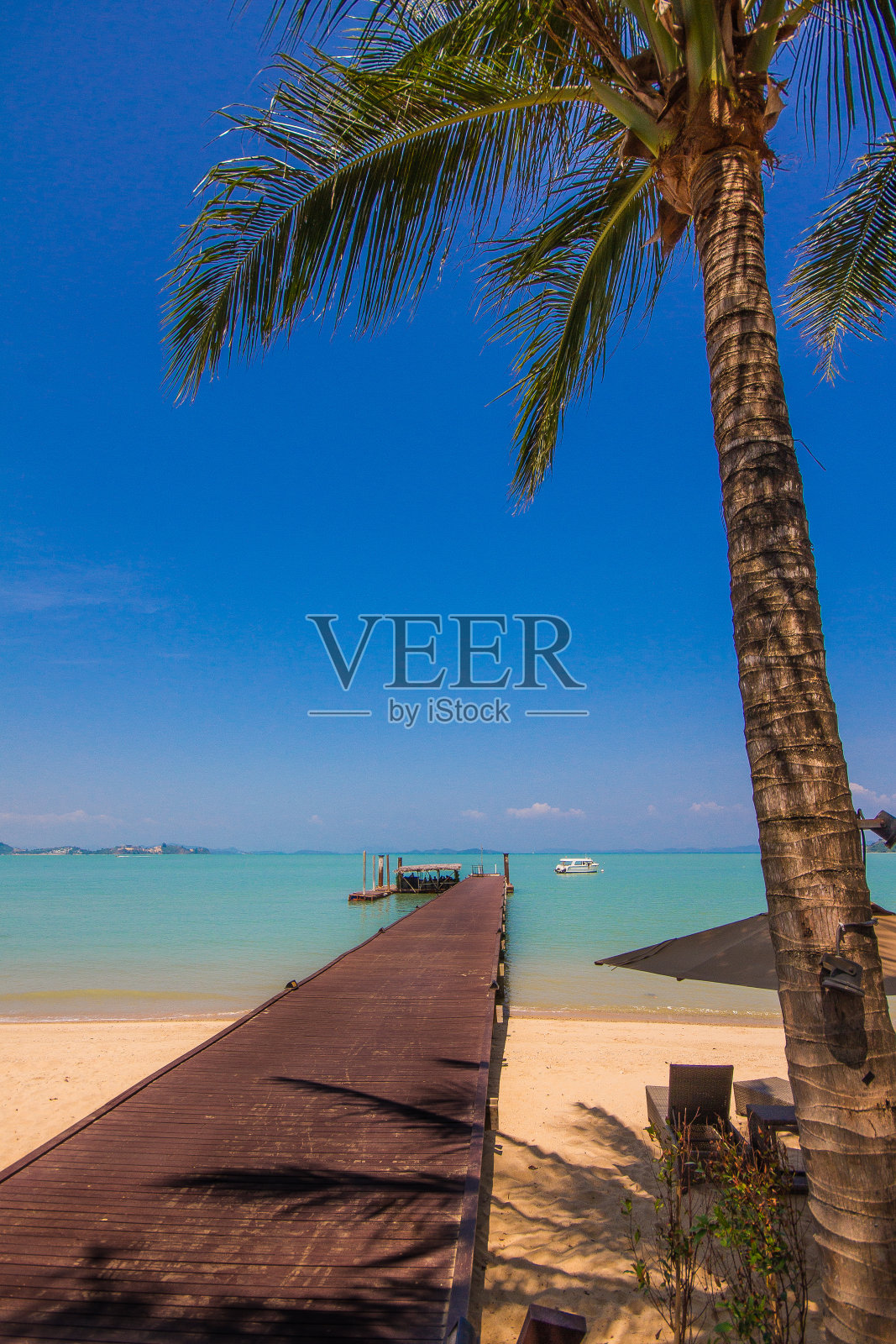 泰国椰岛照片摄影图片