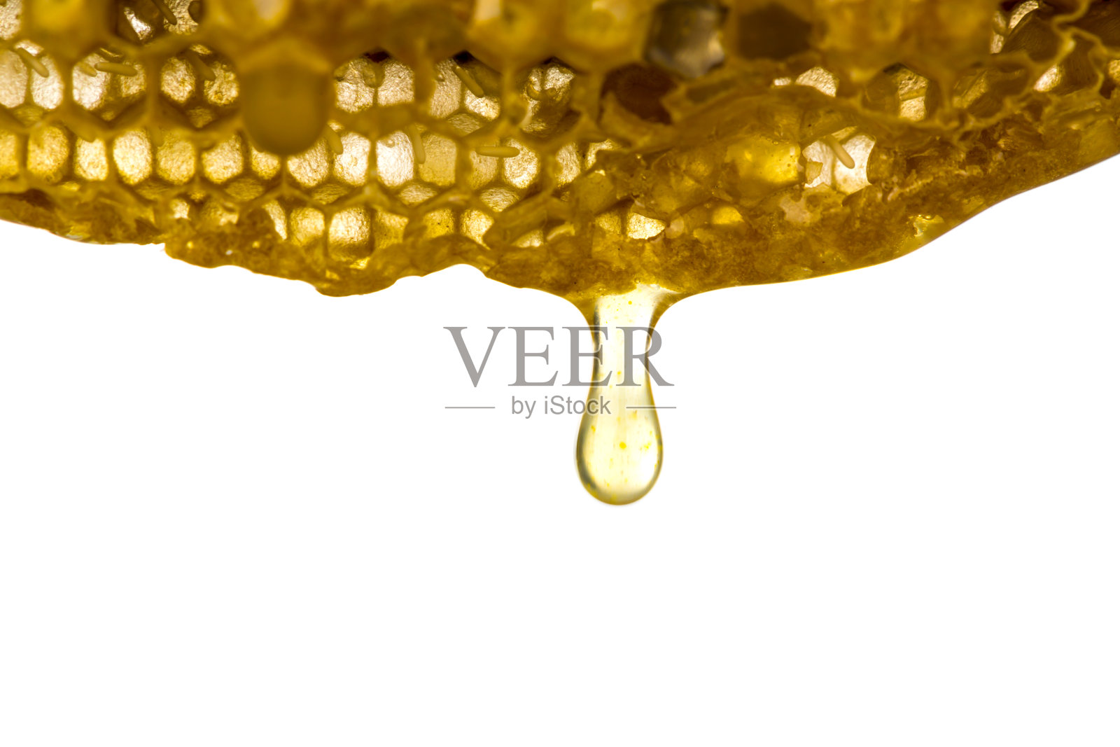 鲜蜂房蜂蜜照片摄影图片