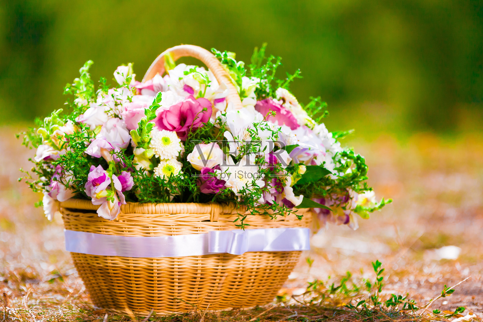 用鲜花篮照片摄影图片
