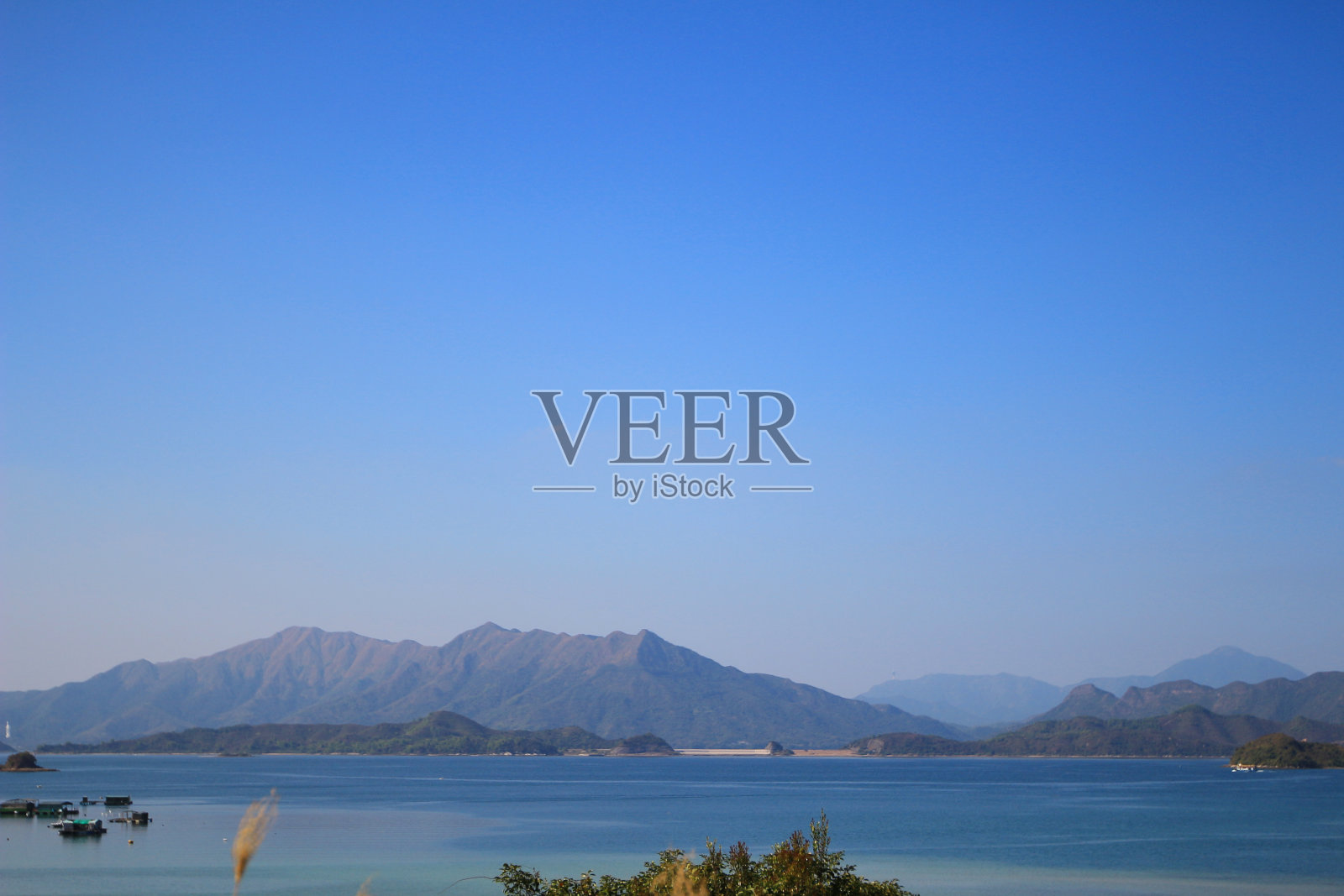 榕树啊照片摄影图片