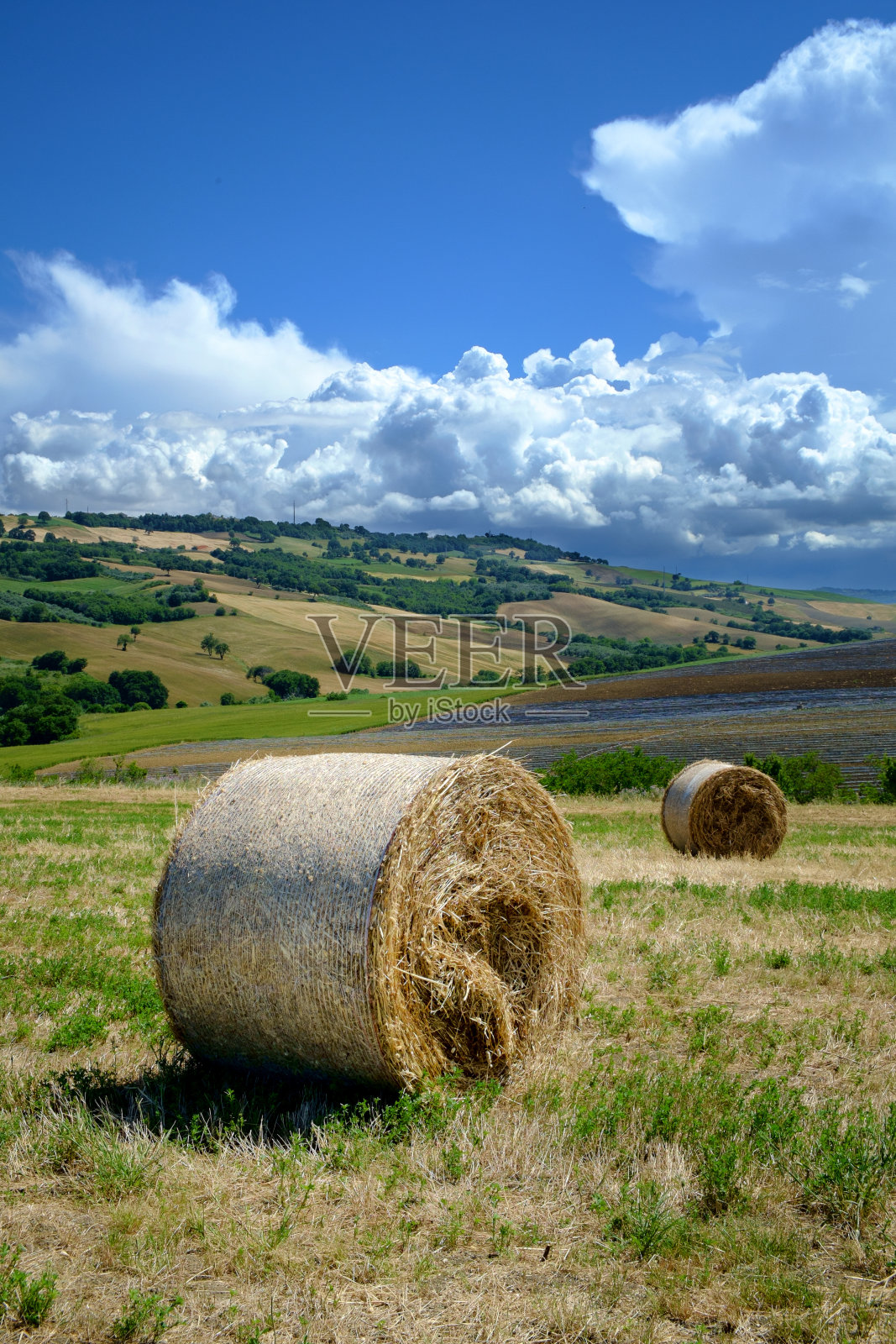 轮包照片摄影图片