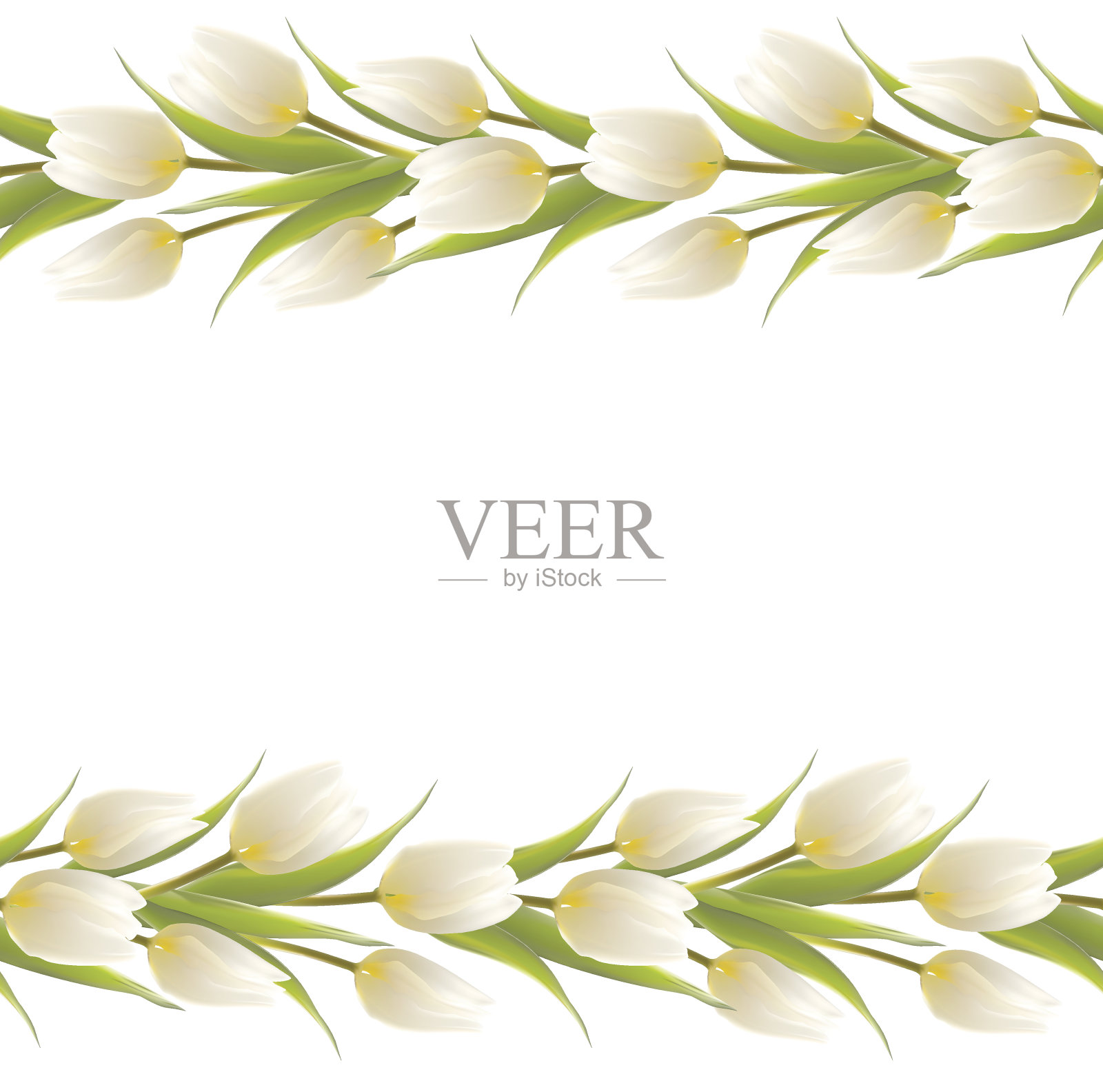 郁金香花束为您的卡片设计。插画图片素材