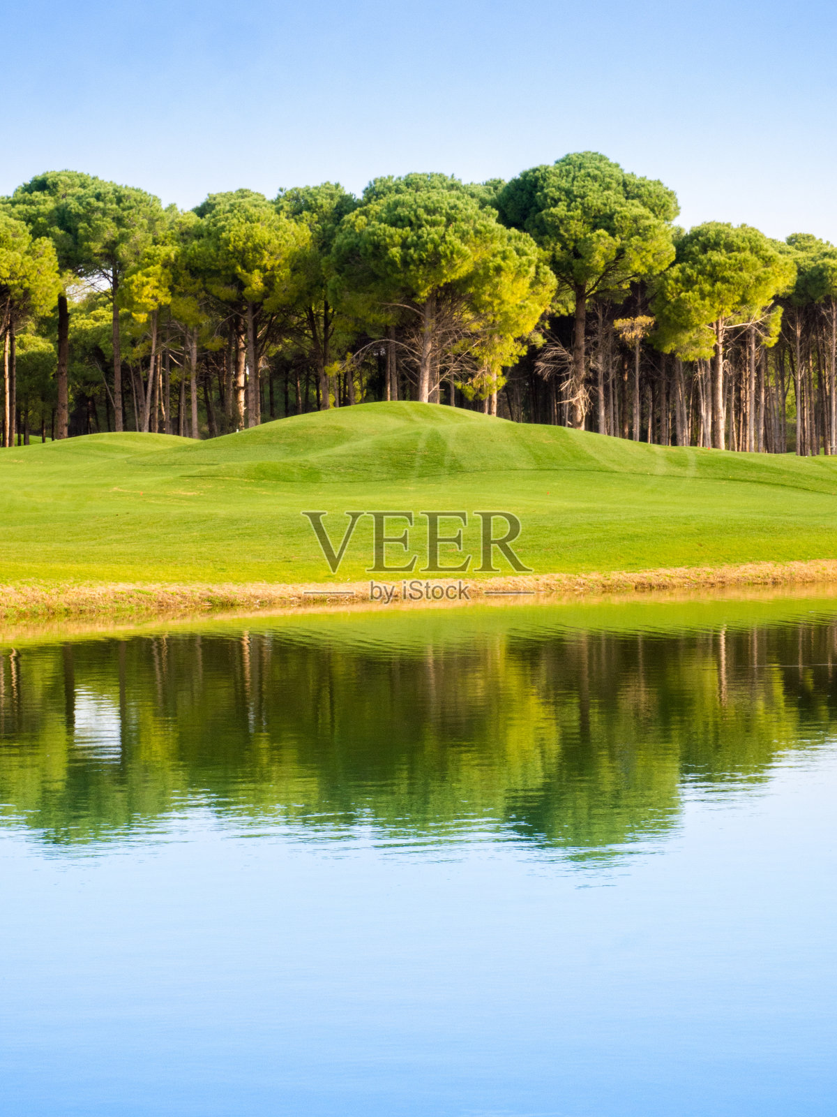 乡村高尔夫球场的照片照片摄影图片