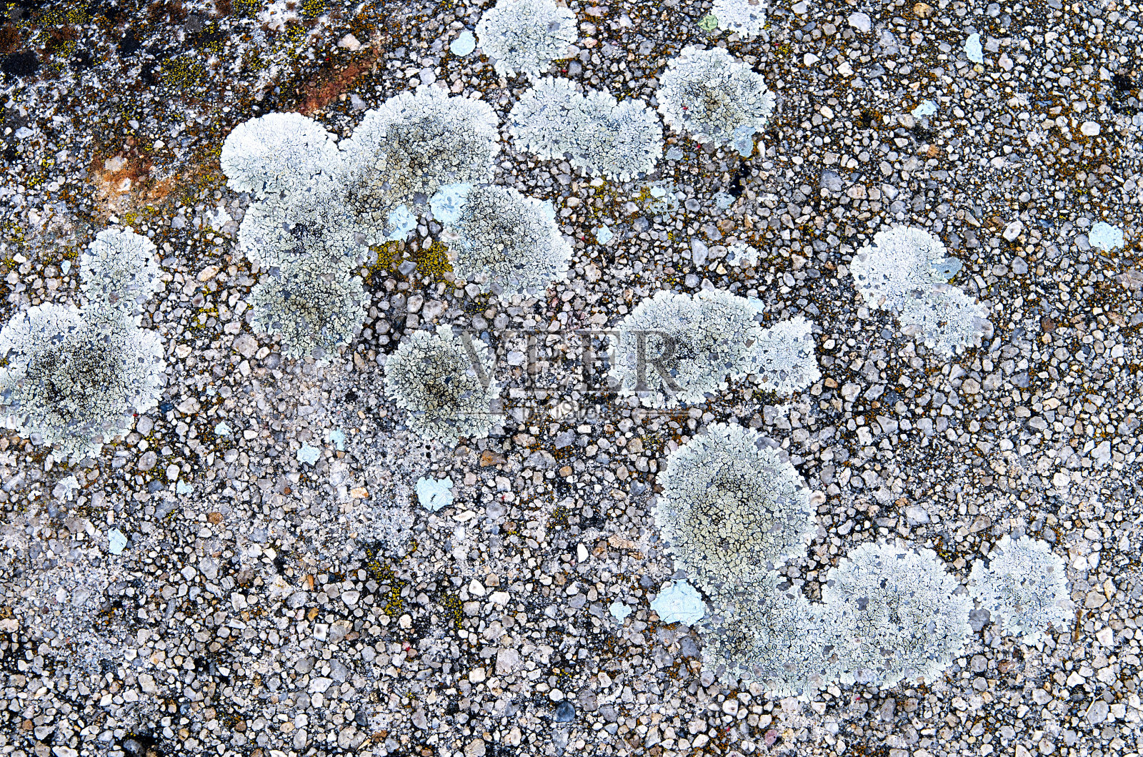 彩色模具质地照片摄影图片