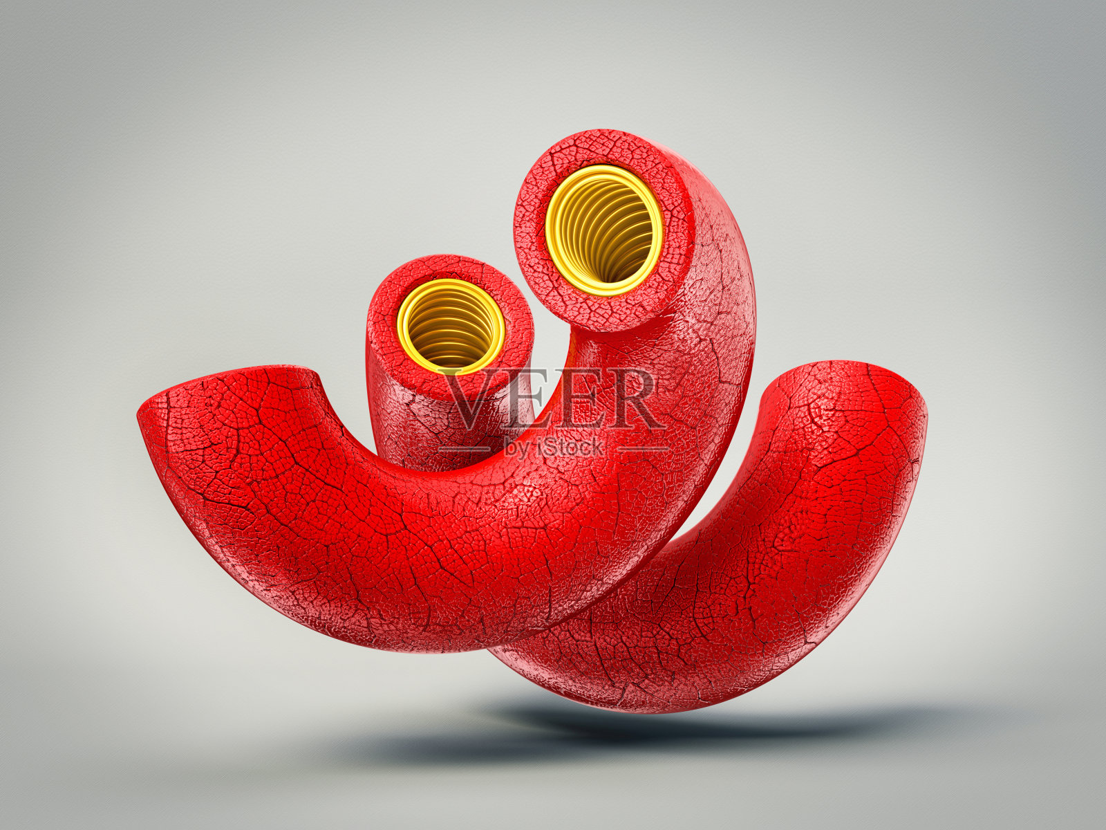 动脉照片摄影图片