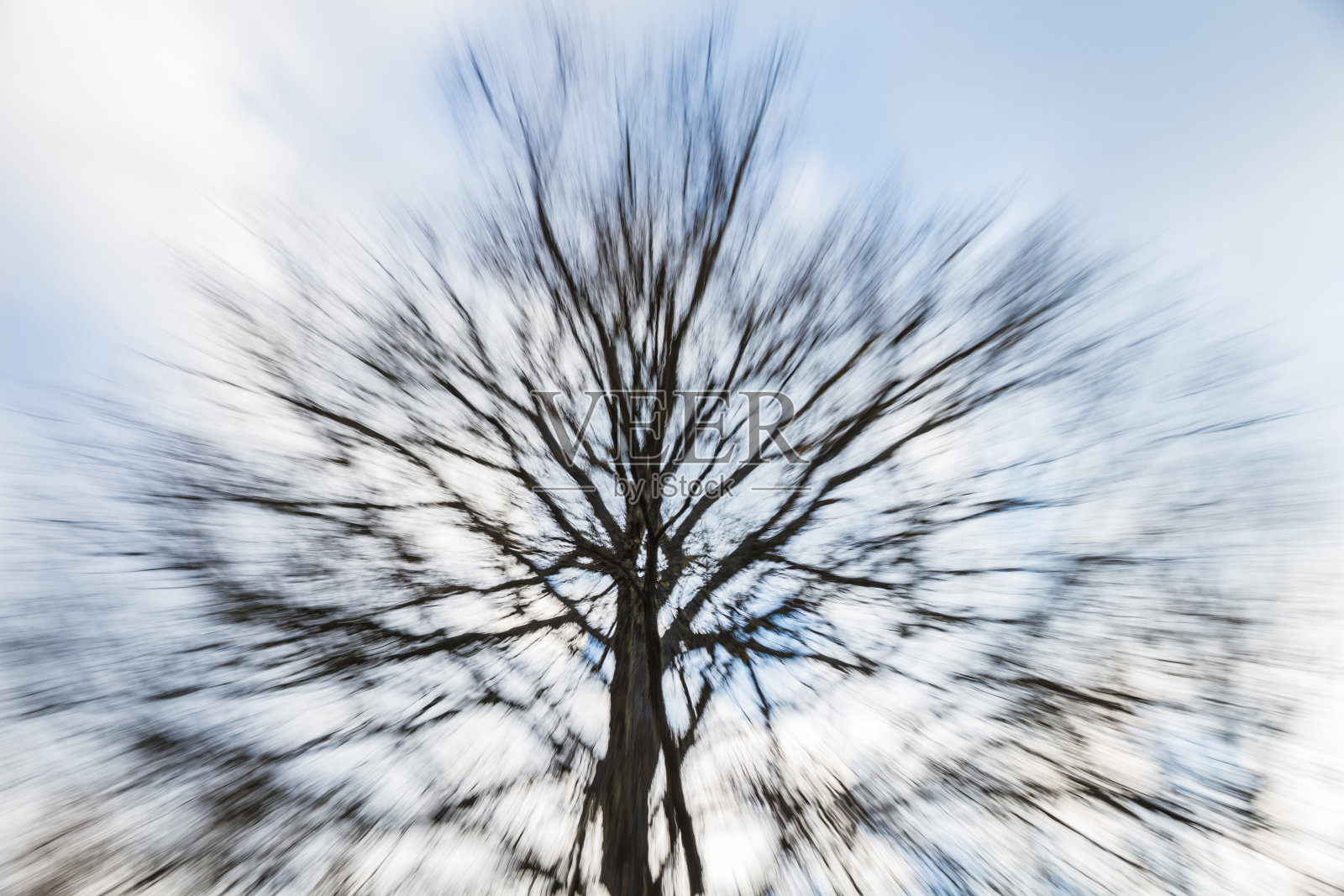 树木景观照片摄影图片