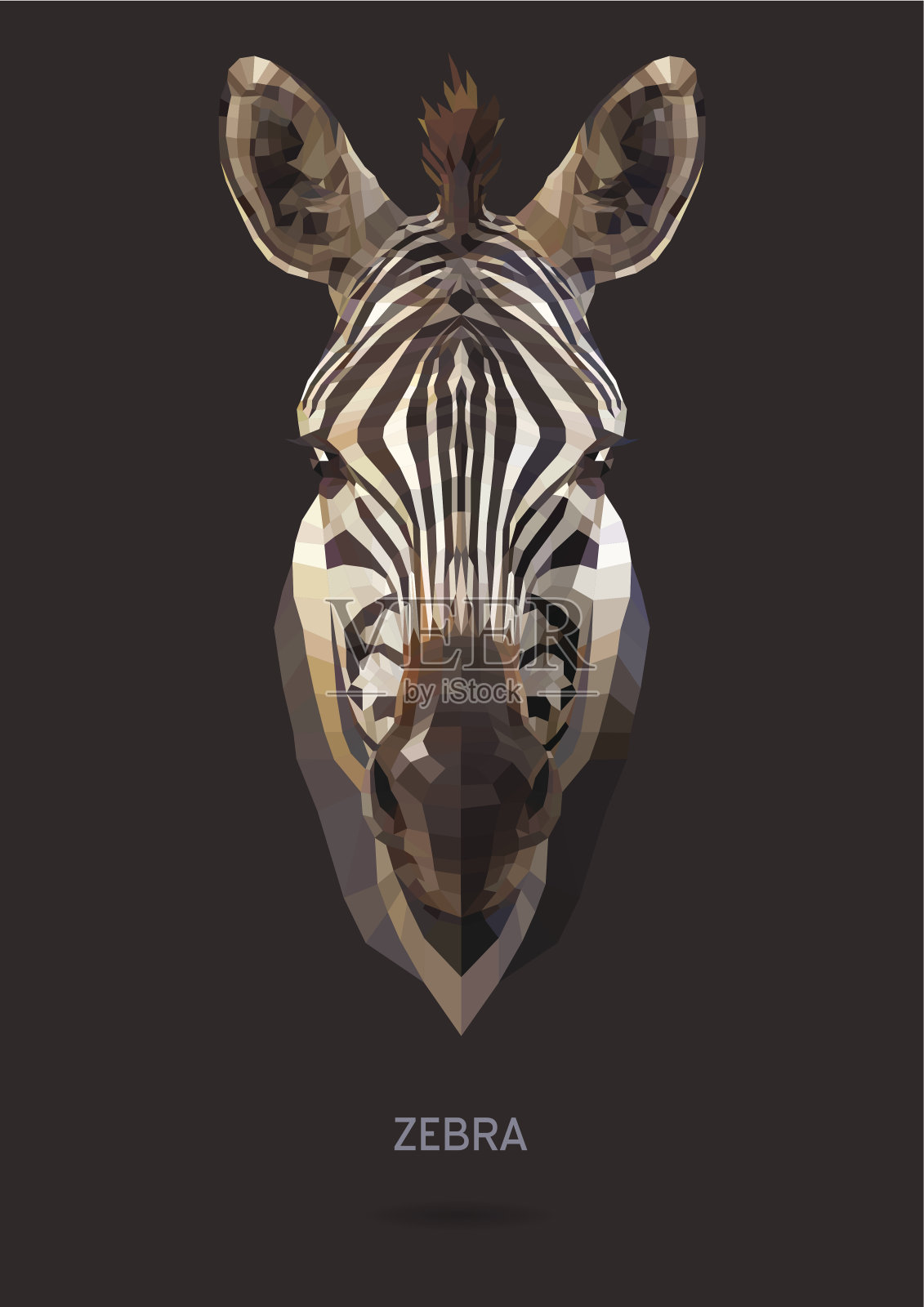 斑马插画图片素材