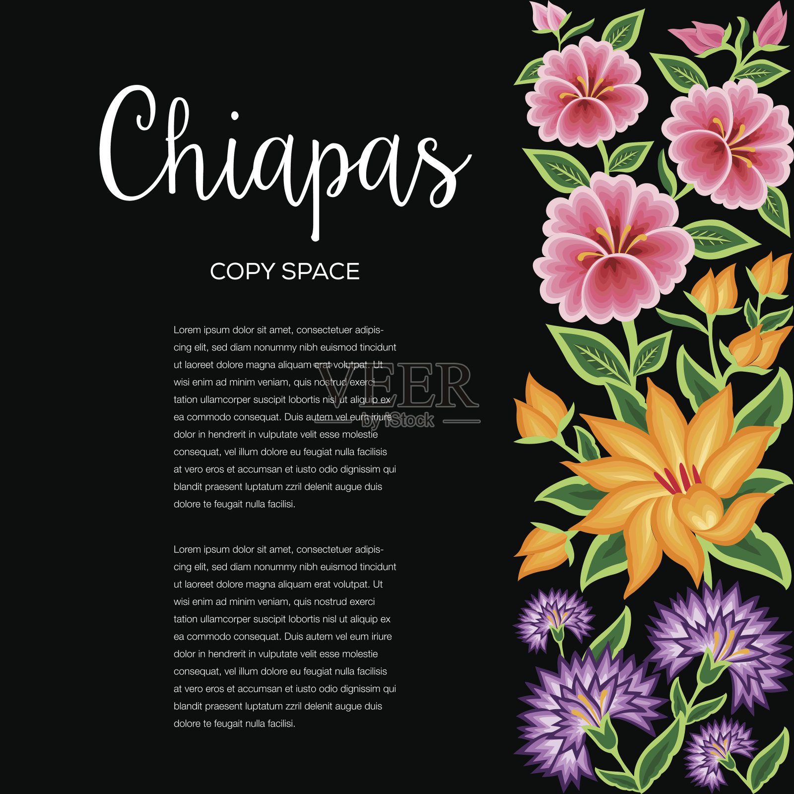 花卉组成-复制空间-恰帕斯插画图片素材