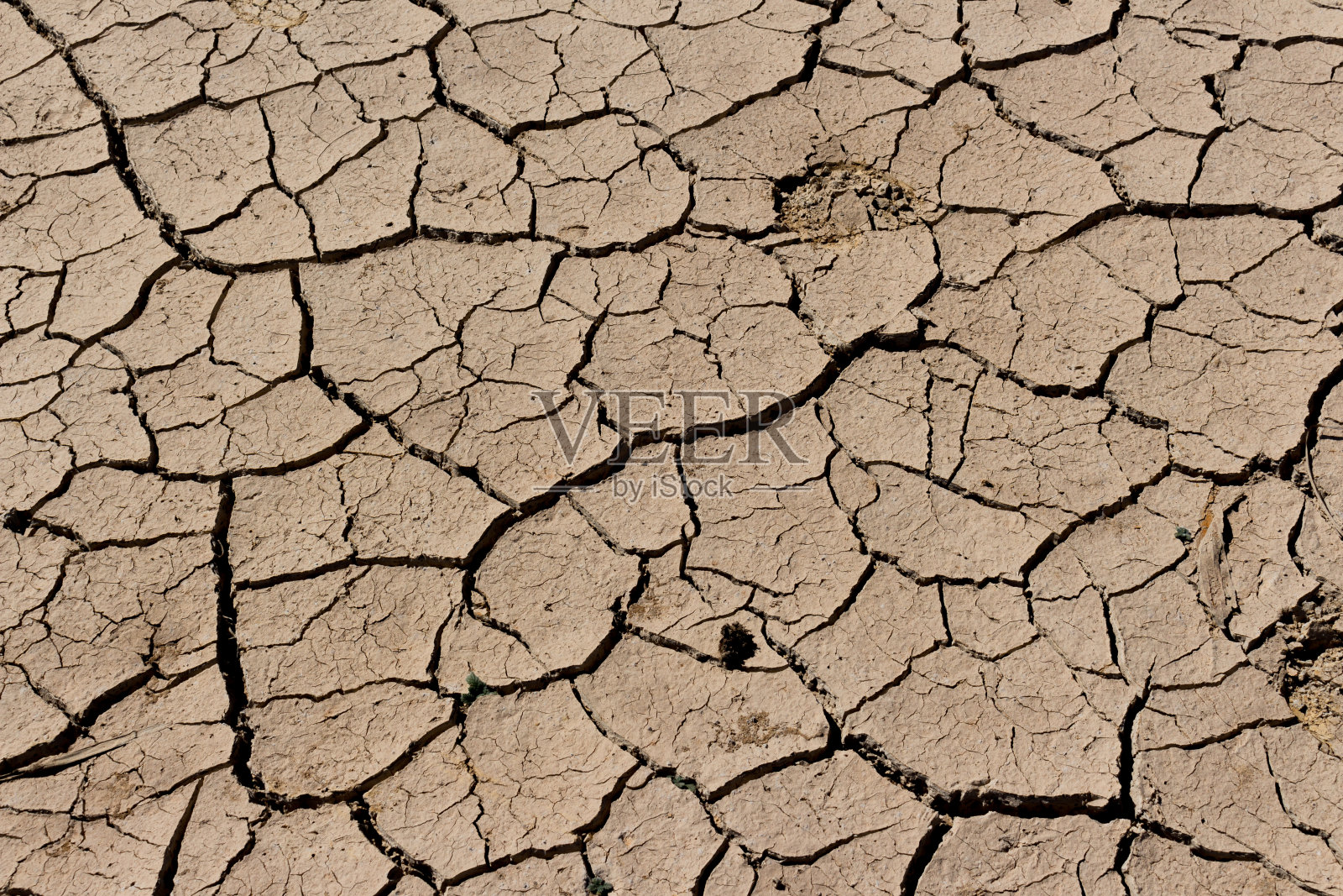干旱的土地。照片摄影图片