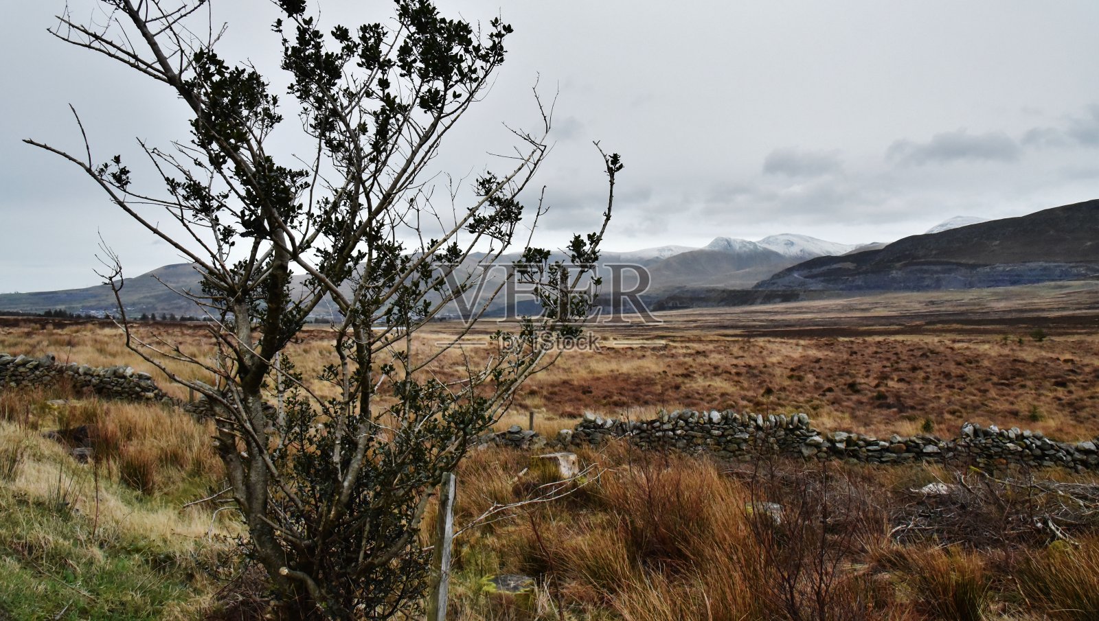 荒凉的荒野。照片摄影图片