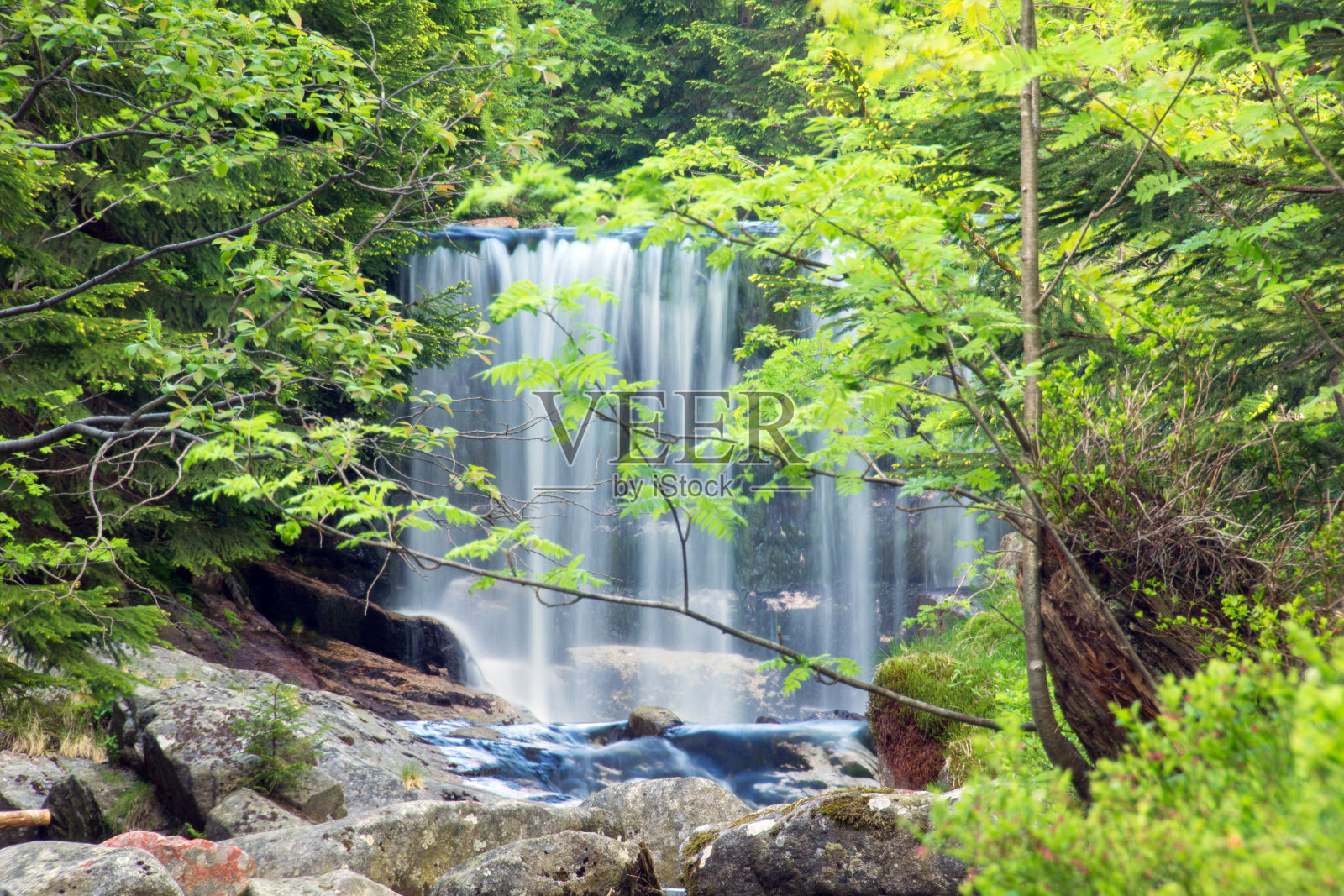 易北河的支流照片摄影图片
