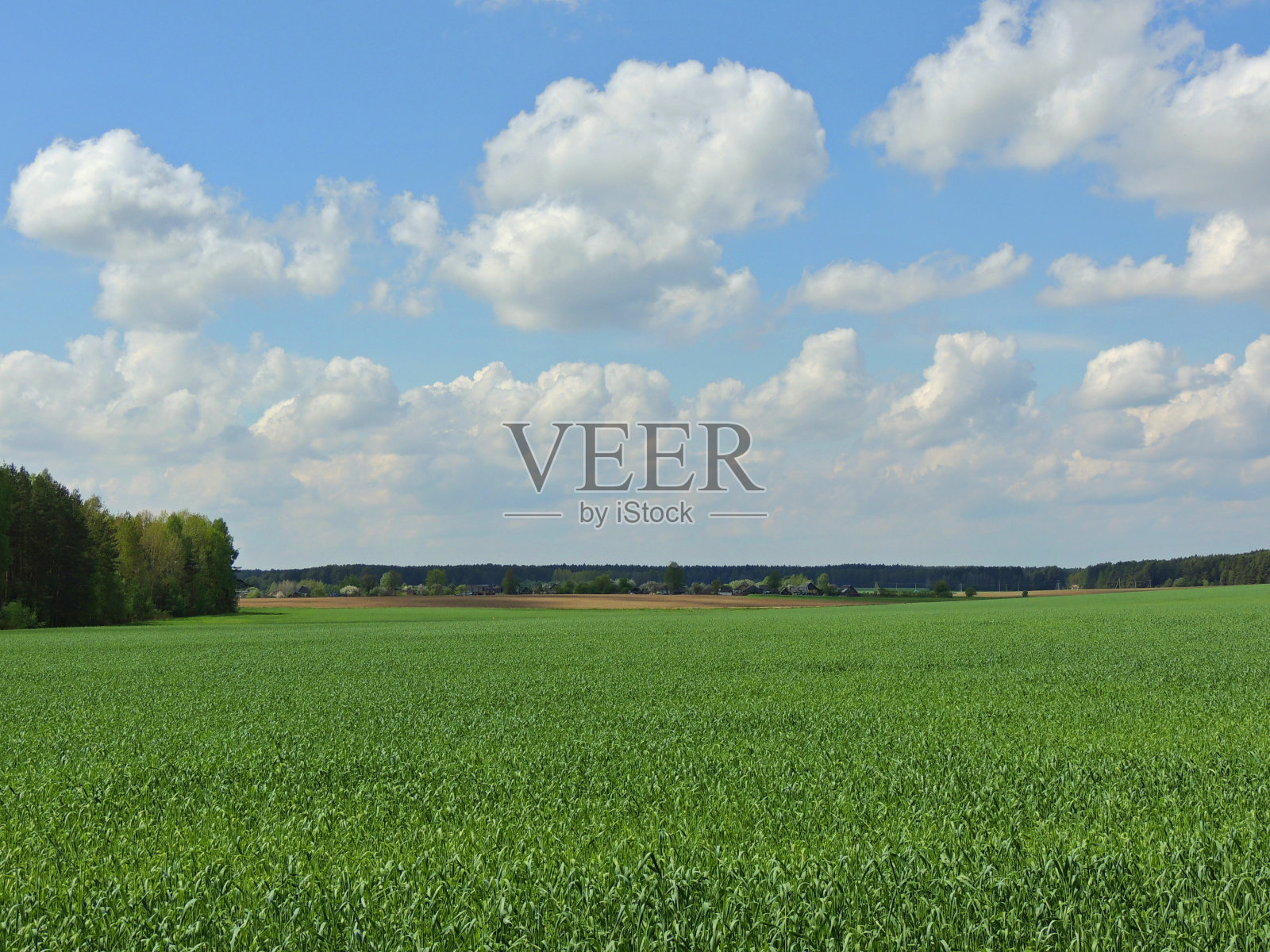 白俄罗斯的景观。照片摄影图片