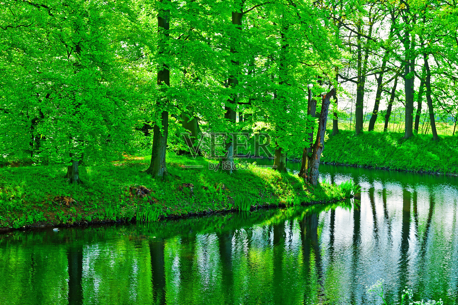 格林伍德照片摄影图片