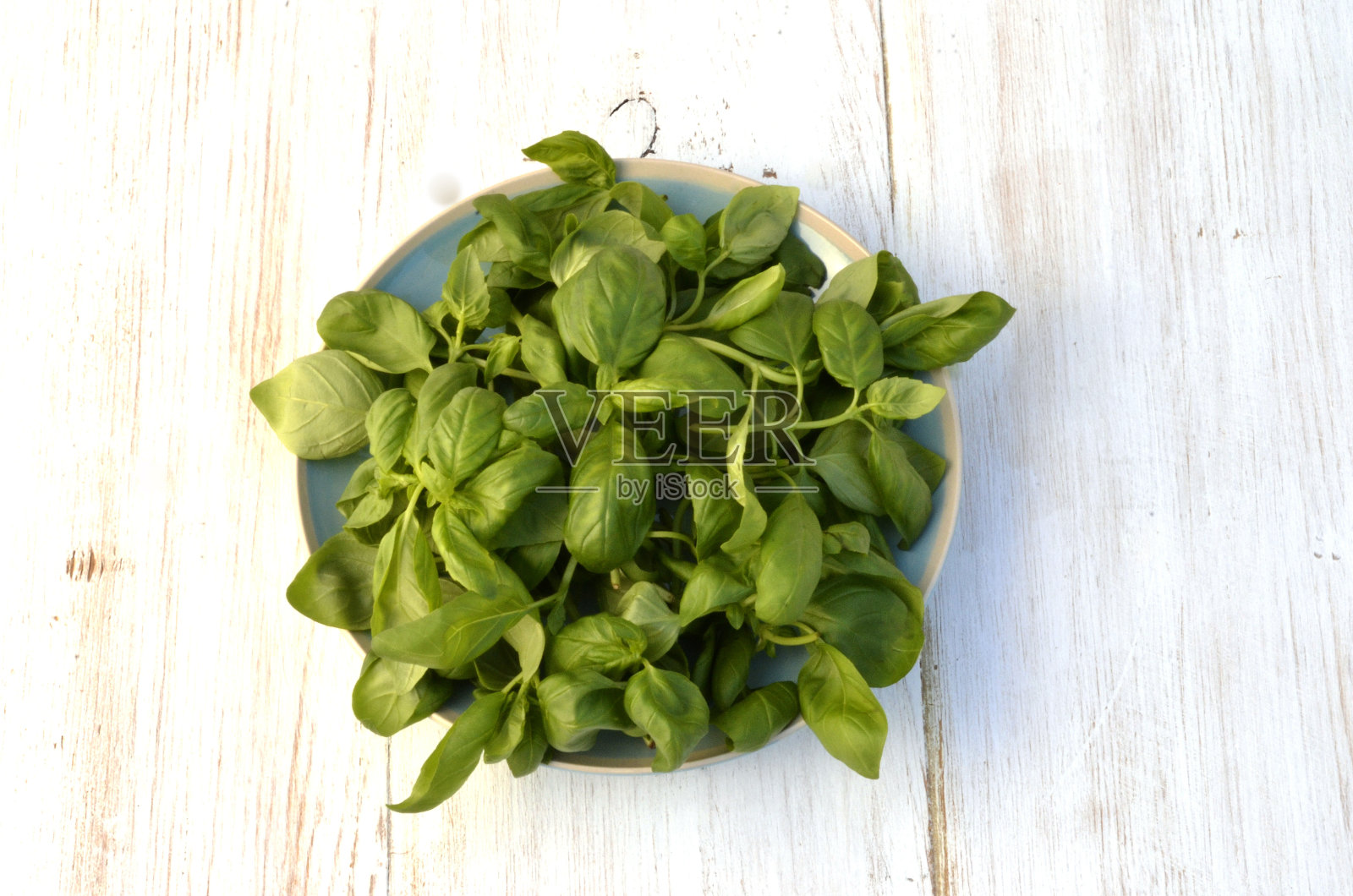 有机罗勒照片摄影图片