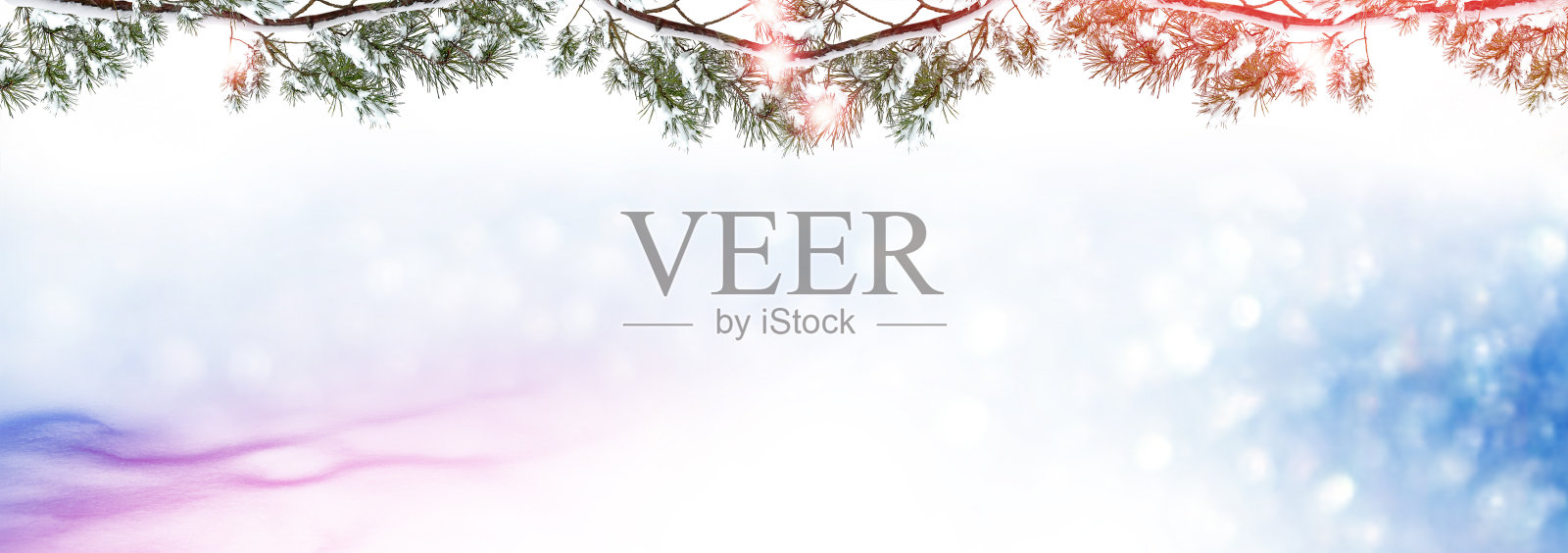 冰雪覆盖的冬季森林。照片摄影图片