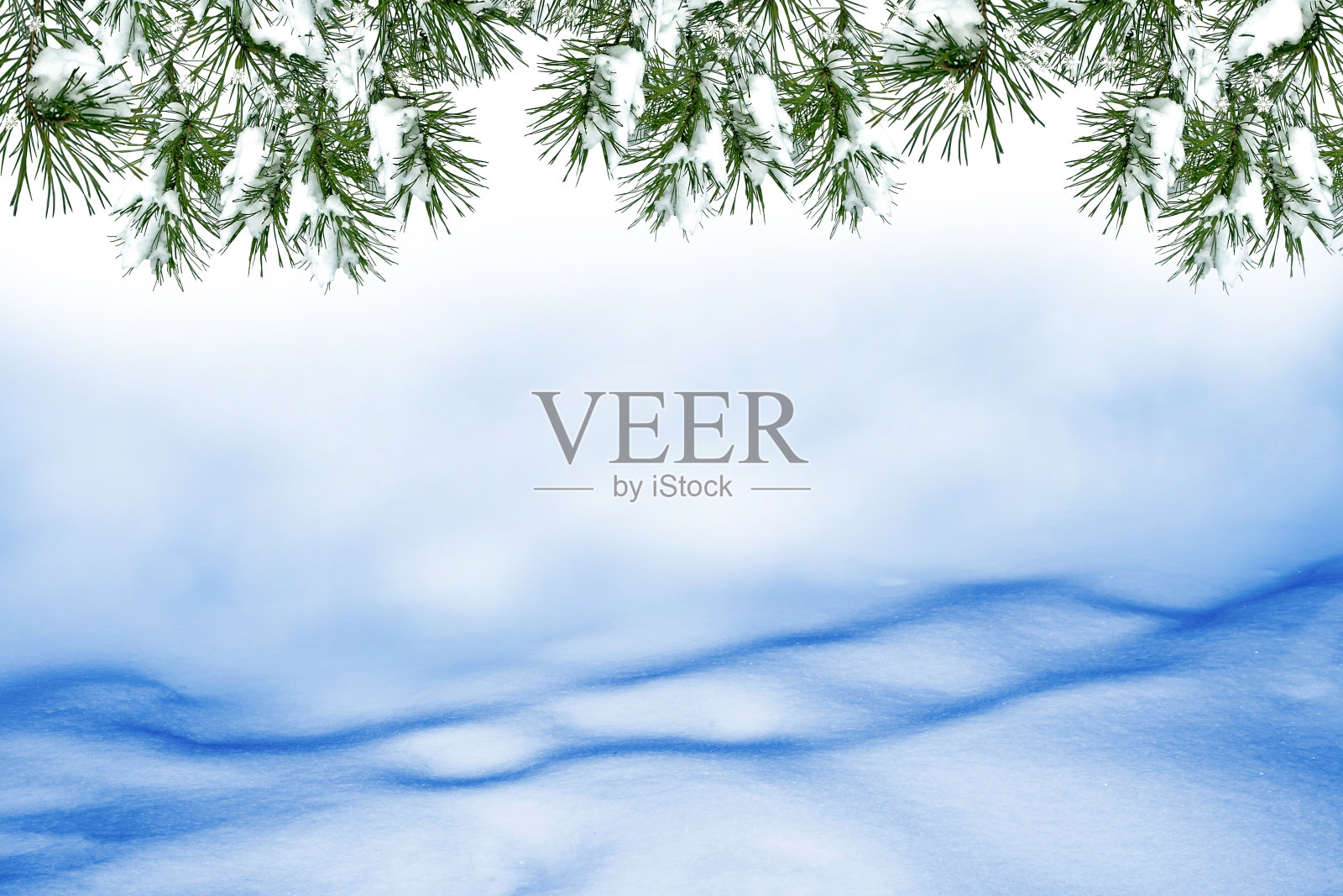 冰冻的冬天森林照片摄影图片