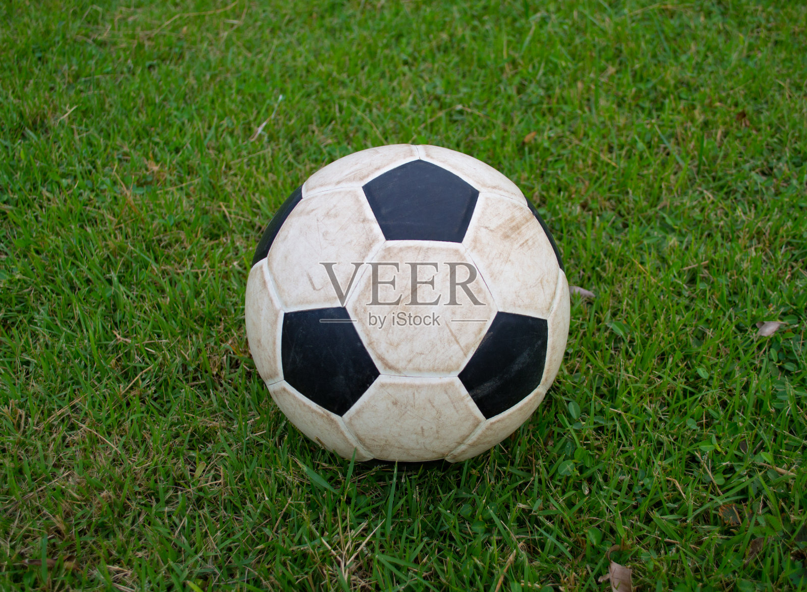 足球照片摄影图片