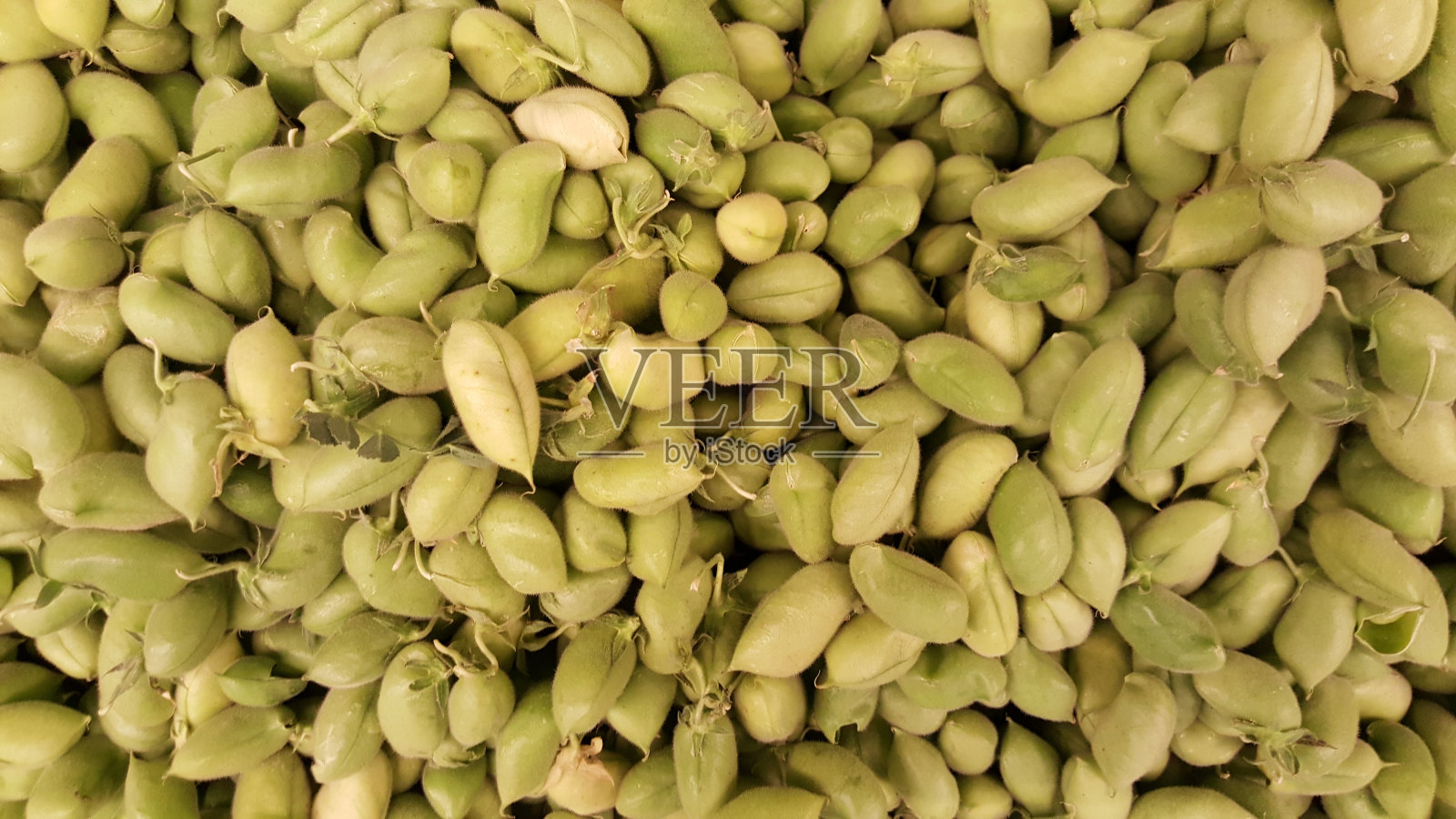 豆荚里的绿鹰嘴豆。克照片摄影图片