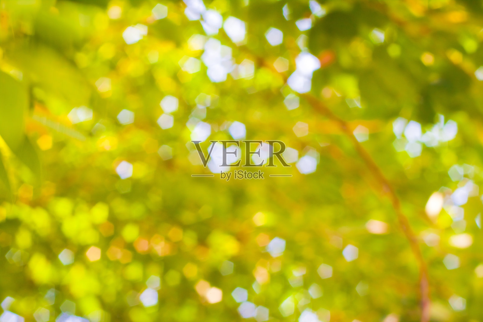 散景模糊了背景照片摄影图片