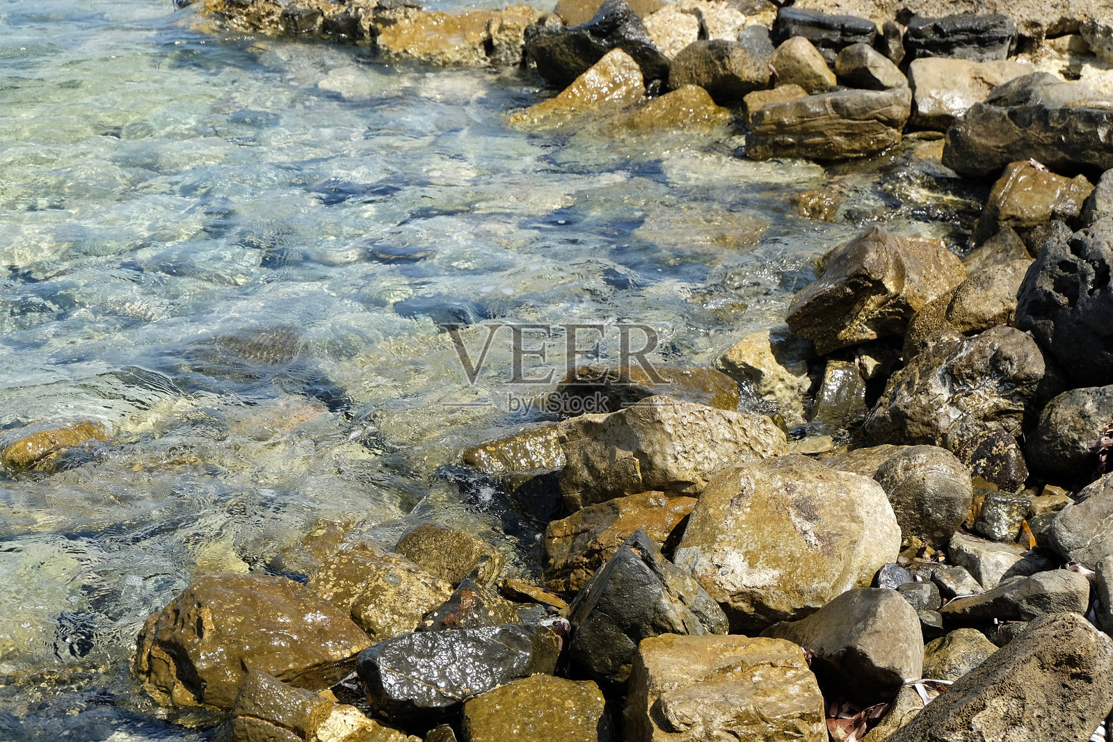 树木和地中海希腊克里特岛照片摄影图片