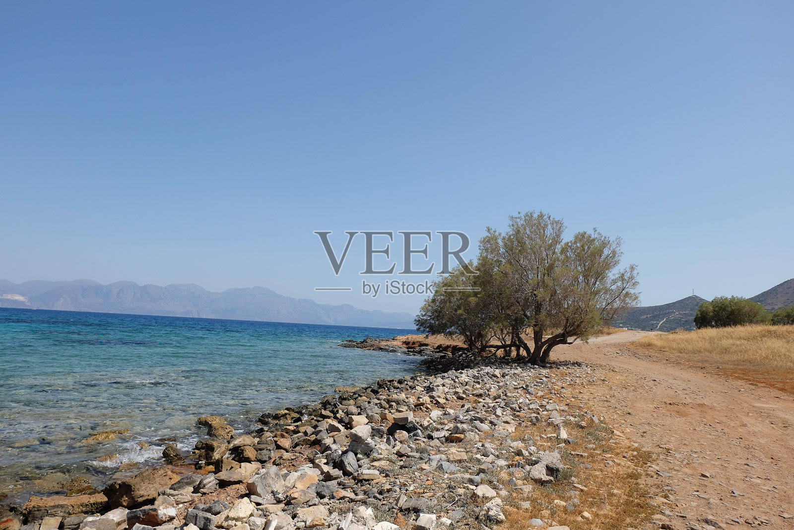 树木和地中海希腊克里特岛照片摄影图片