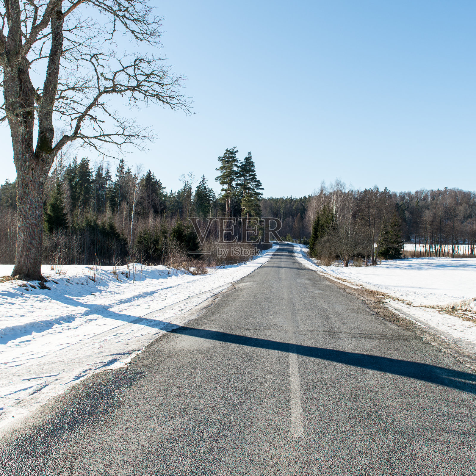 冬天结冰的道路照片摄影图片