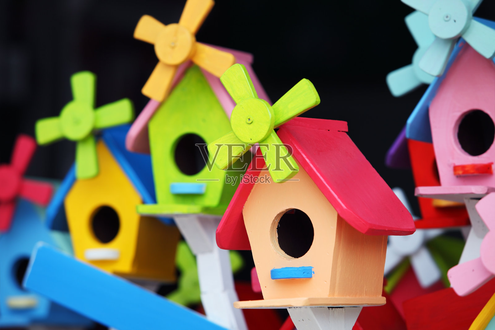 色彩斑斓的鸟的房子照片摄影图片