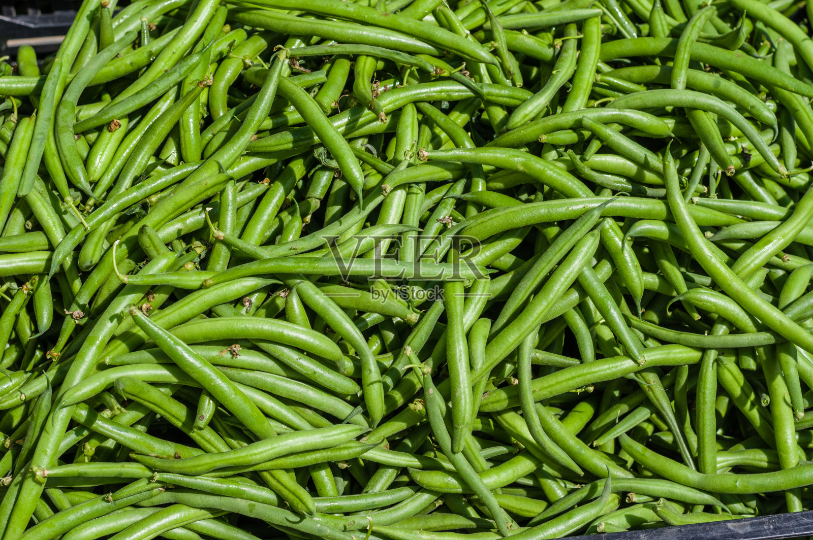 在农贸市场展出的青豆照片摄影图片