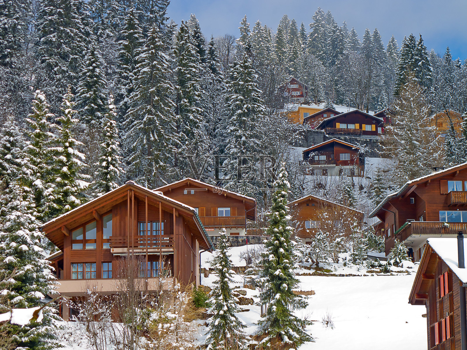 阿尔卑斯山的冬天照片摄影图片