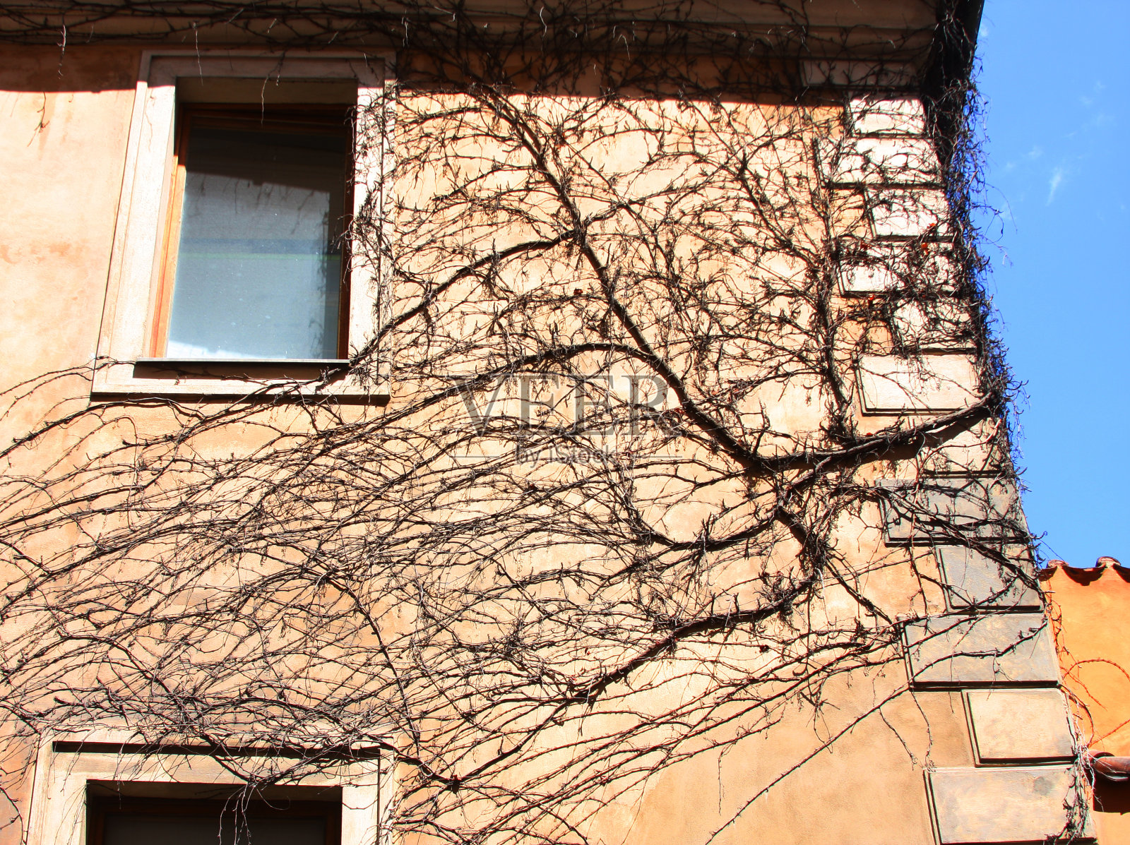 布拉格城市广场的历史建筑照片摄影图片