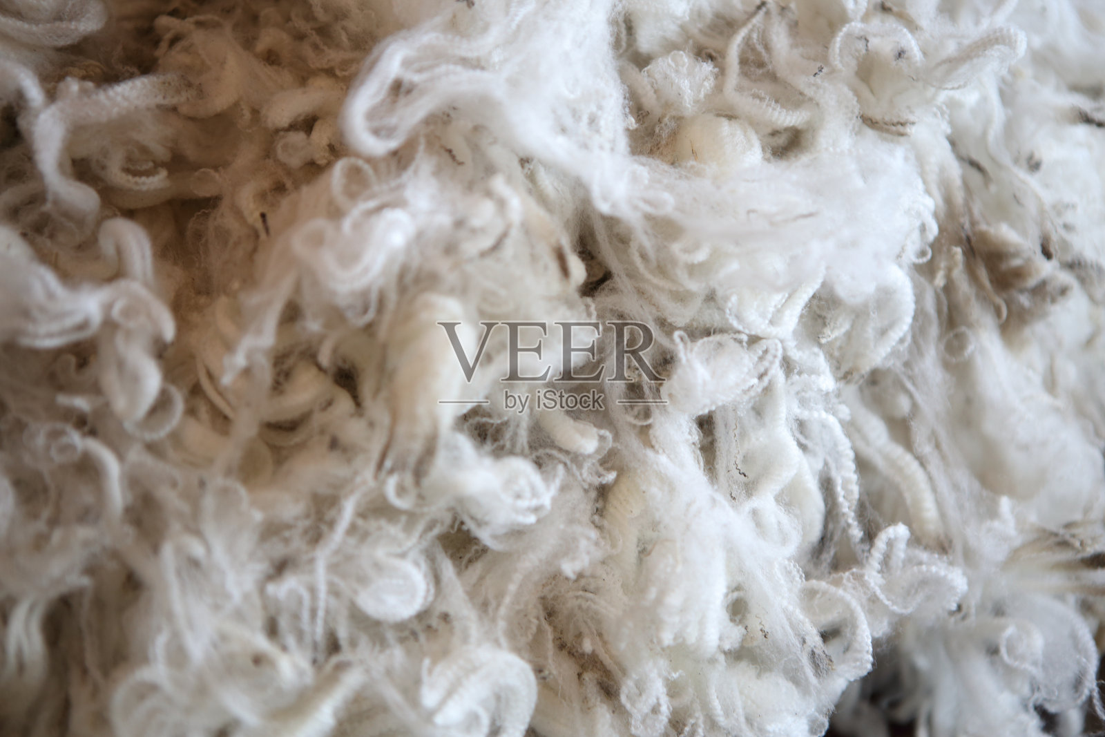 绵羊毛纺照片摄影图片