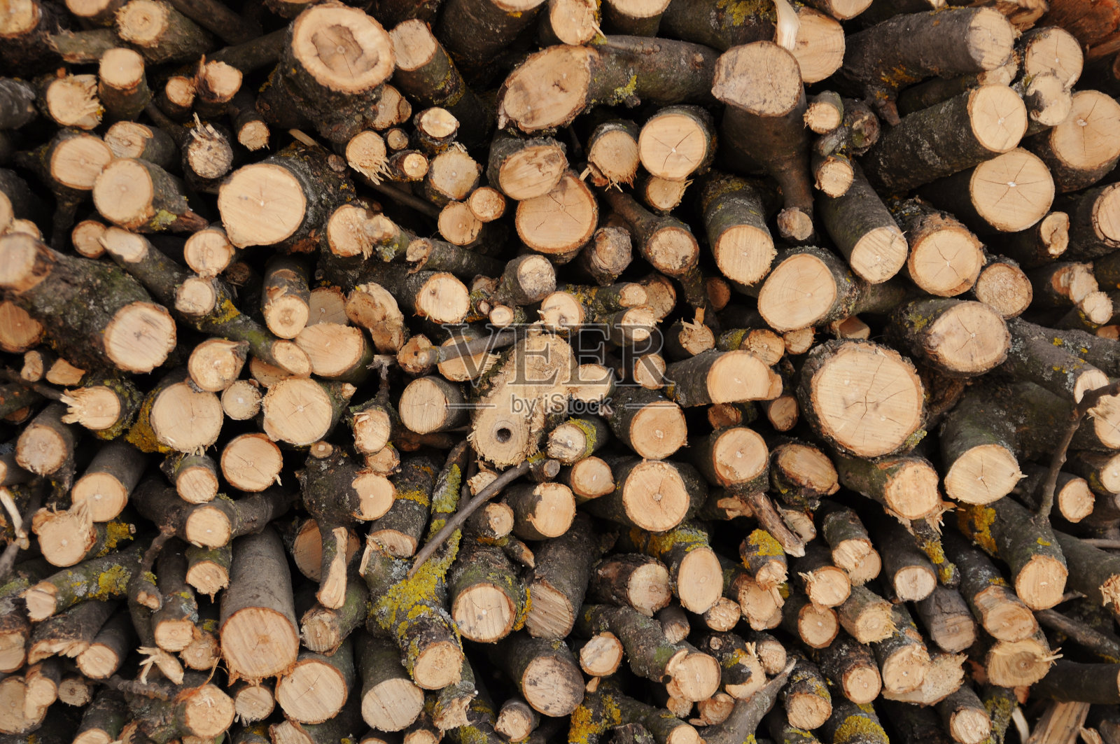 木头引火照片摄影图片