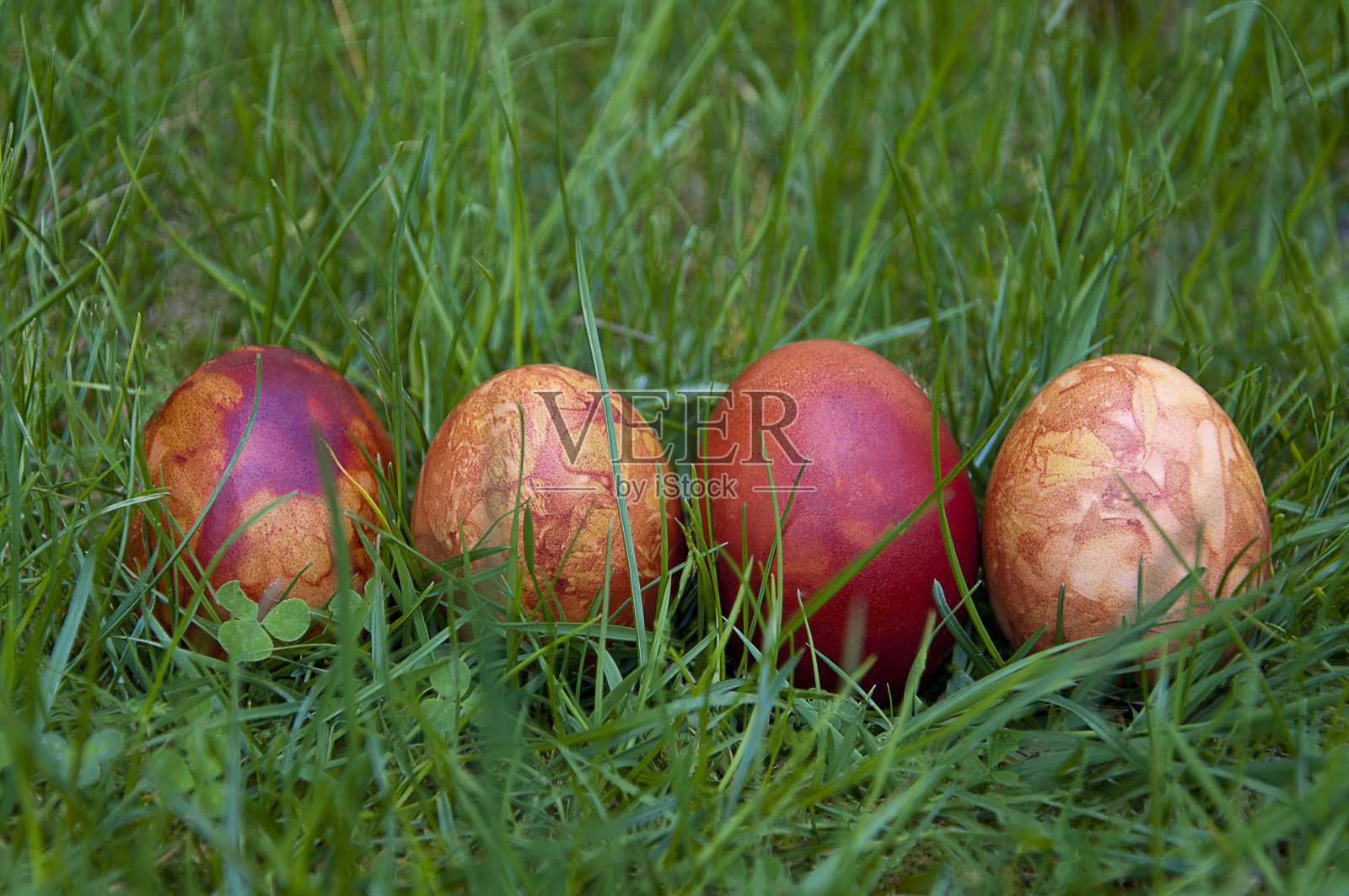 这排复活节彩蛋照片摄影图片