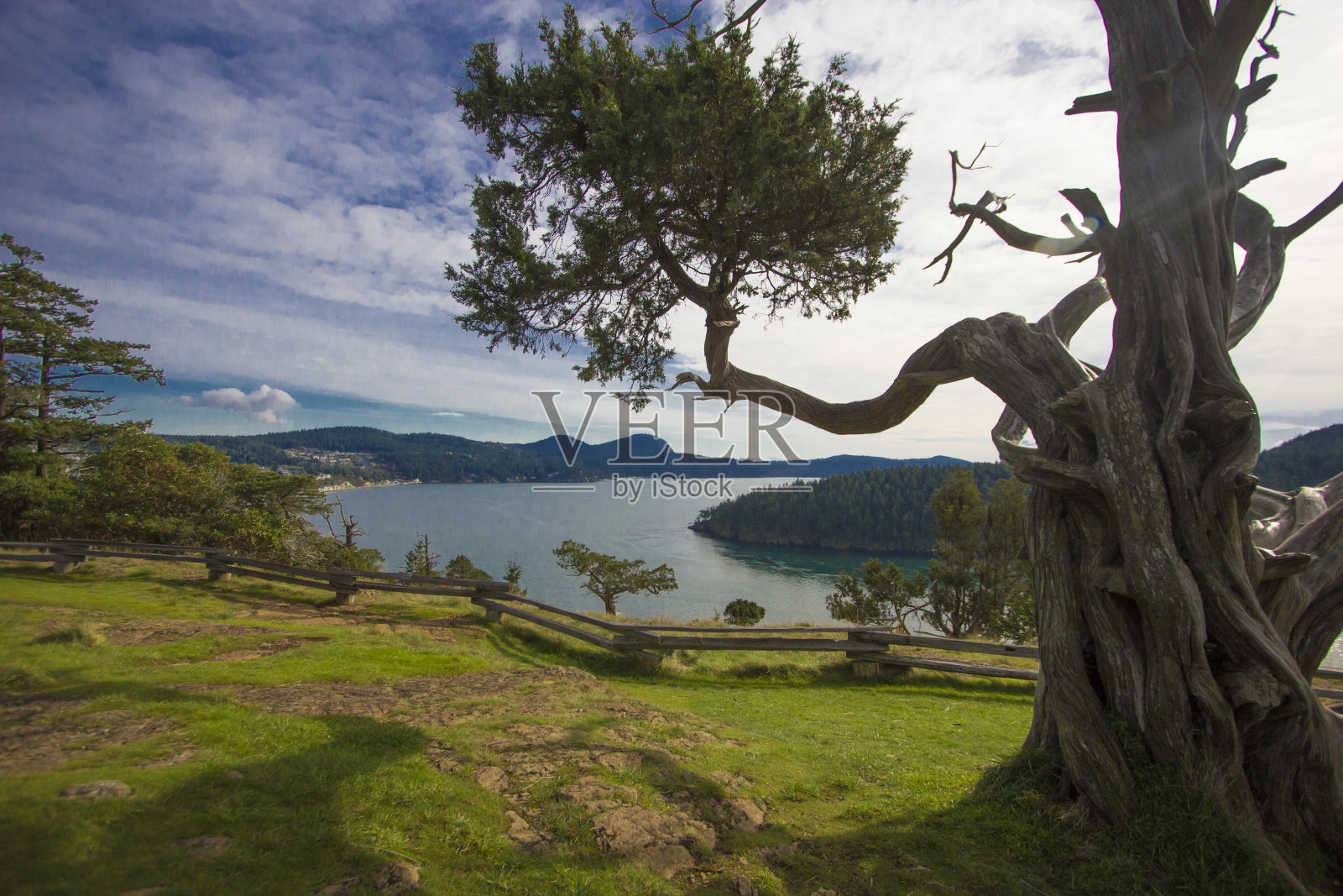 普吉特湾的景色，以阿纳科特斯水平背景为框架照片摄影图片
