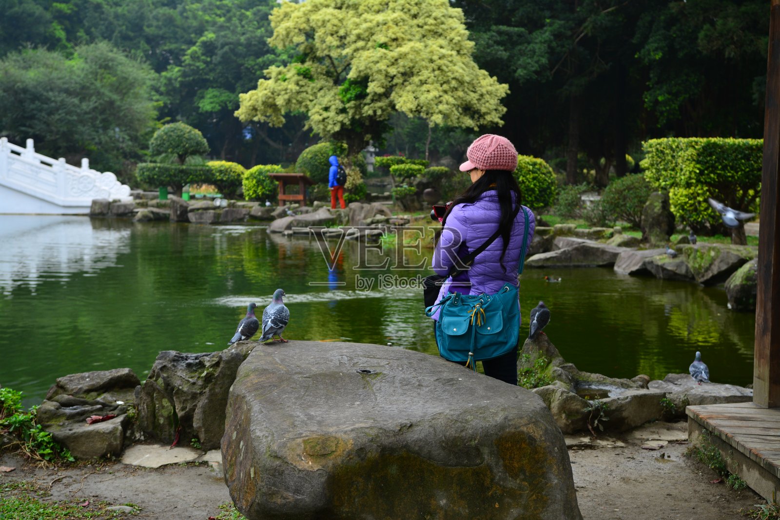 在池塘边拍照照片摄影图片