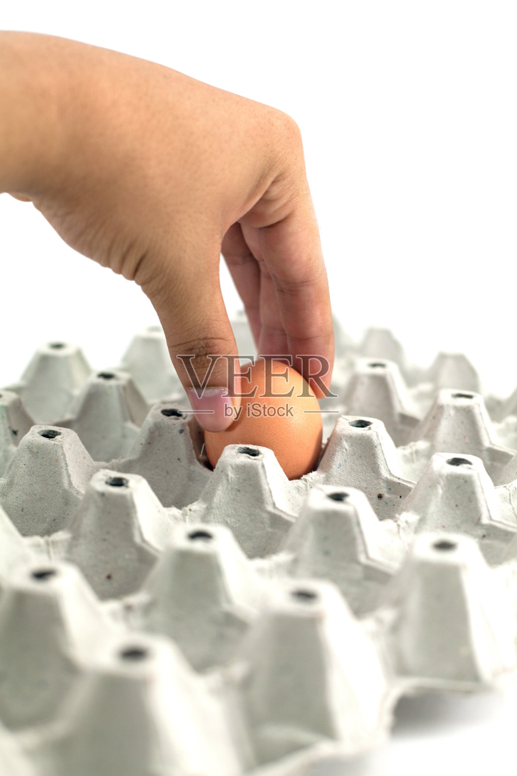 人的手拿着一个带蛋盘的鸡蛋照片摄影图片