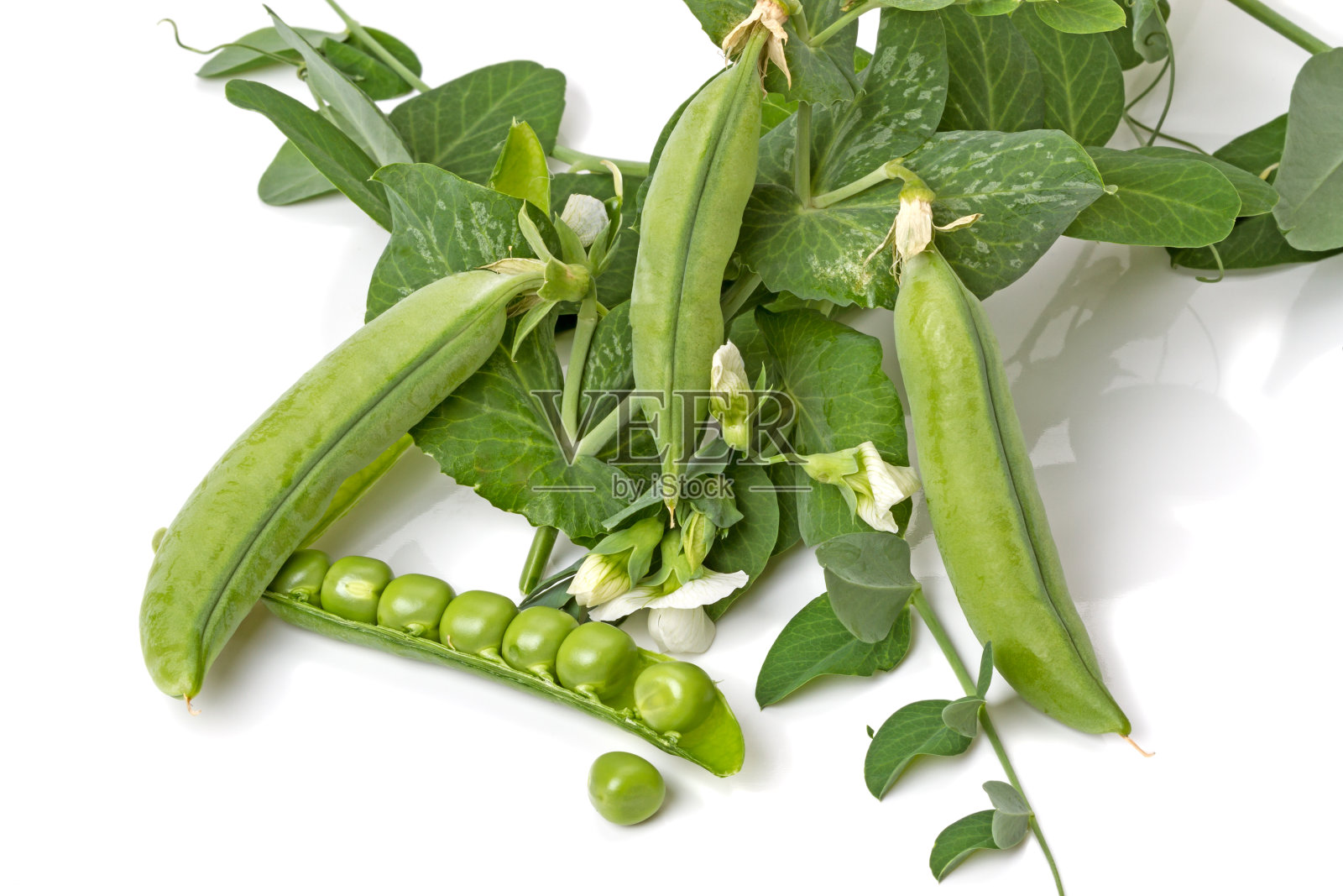 绿色豌豆荚照片摄影图片