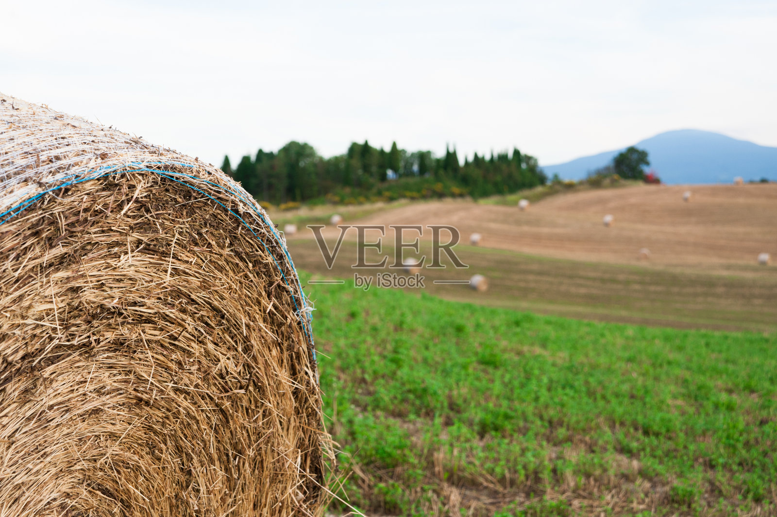 景观全景，丘陵和草地照片摄影图片