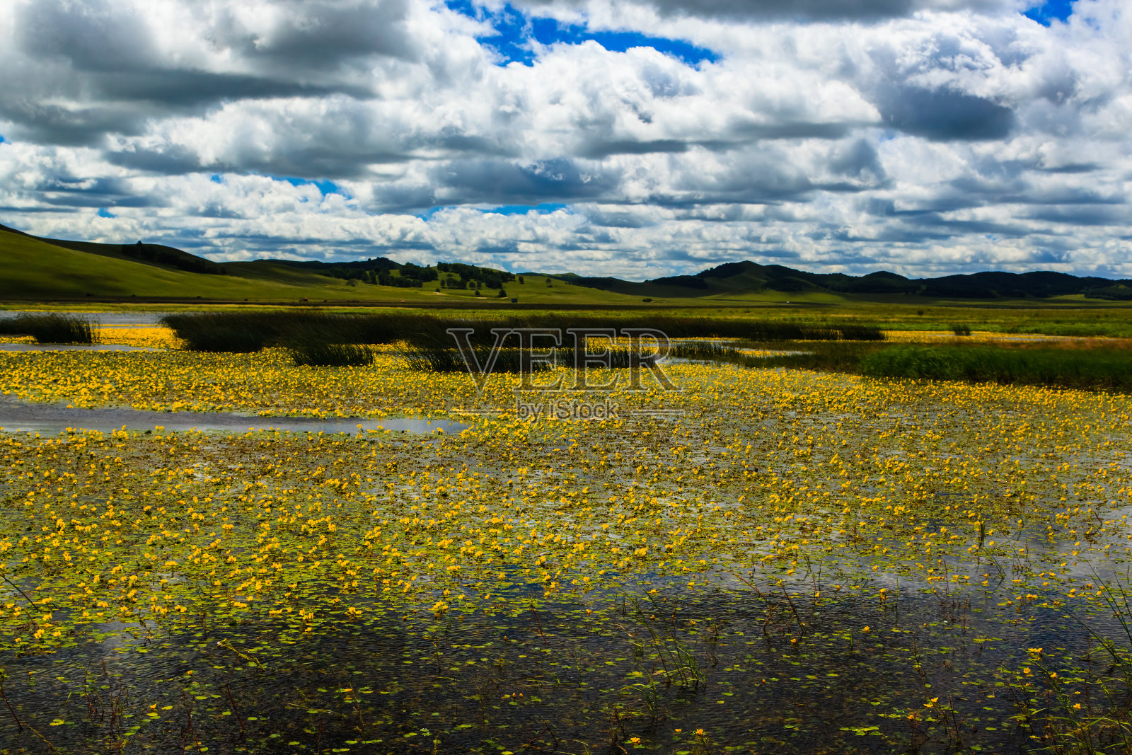 中国Wulanbutong草原照片摄影图片