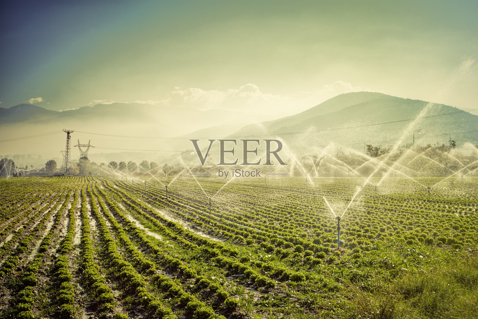 农田灌溉照片摄影图片